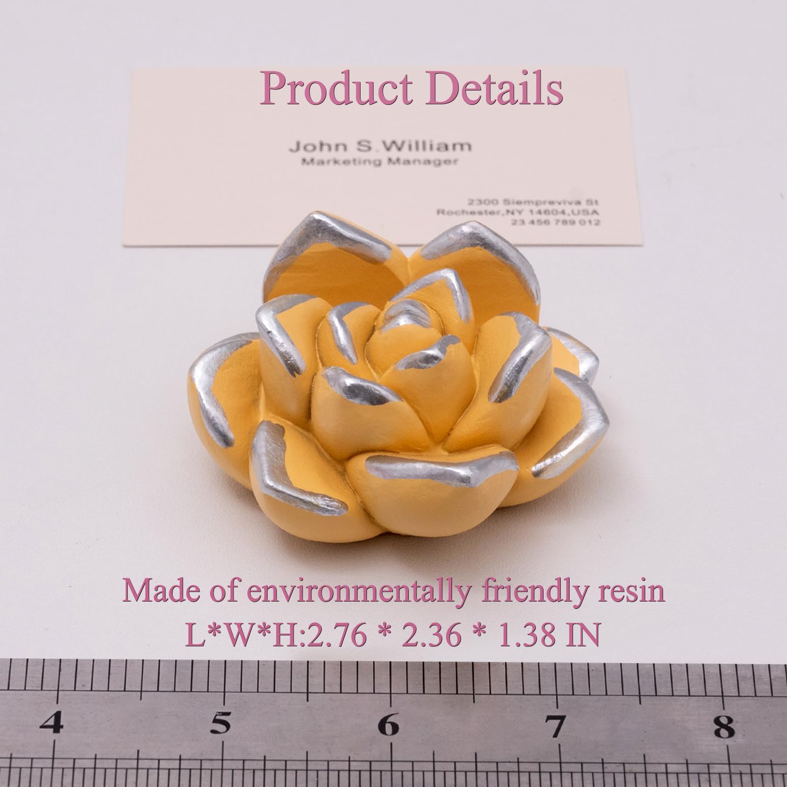 wowhalolo Succulent Business Card Holders Display Stand Desk Organizer