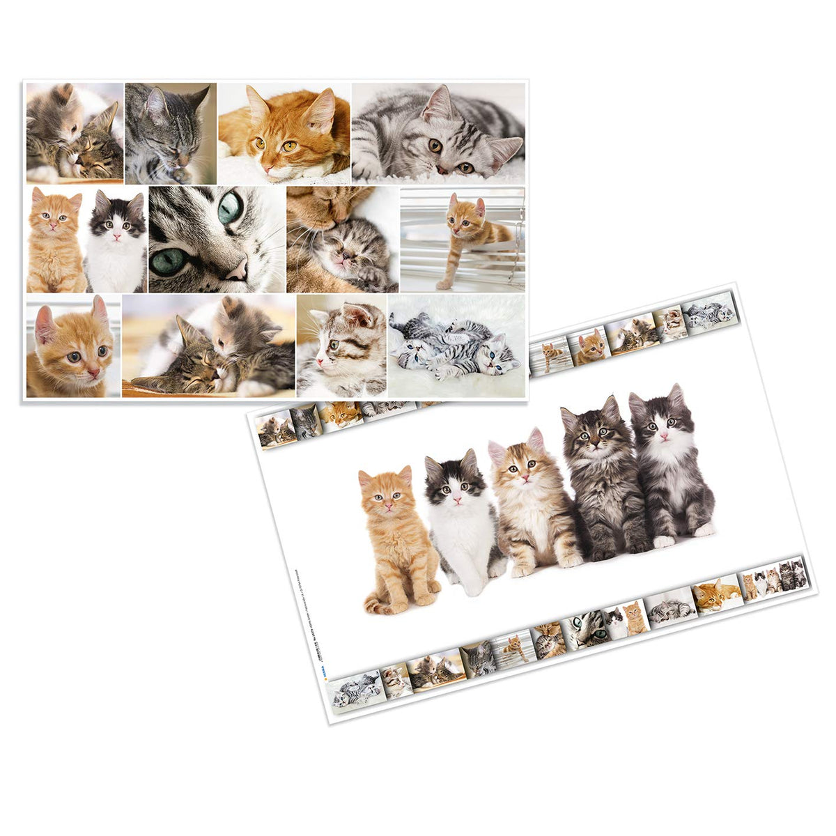 Herma 19378 Desk Mat Non-Slip (55 x 35 cm/Dogs, Motif On Both Sides, for Children 1 Mat Format 55 x