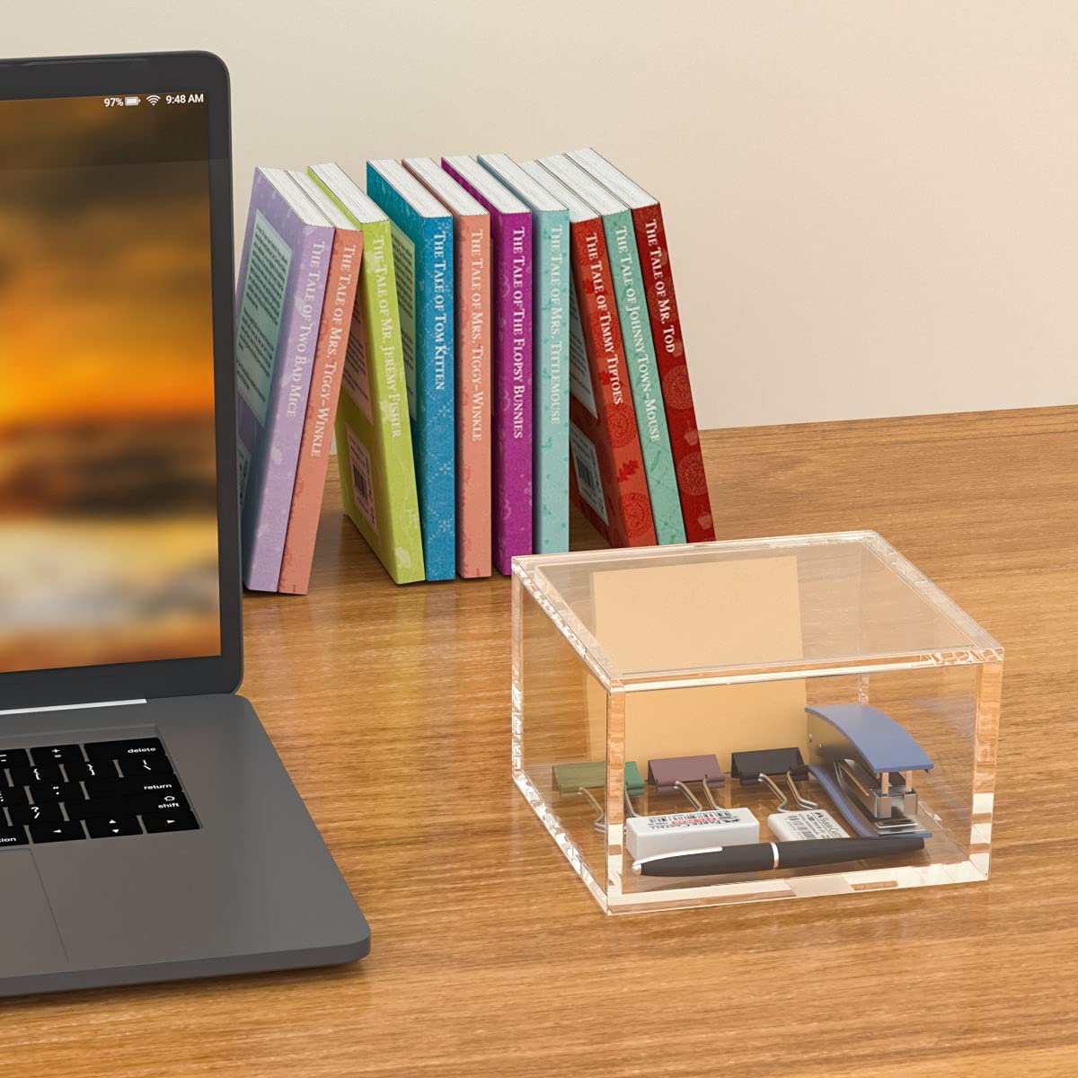 AITEE Decorative Acrylic Box with Lid, Display Storage for Home (Large)