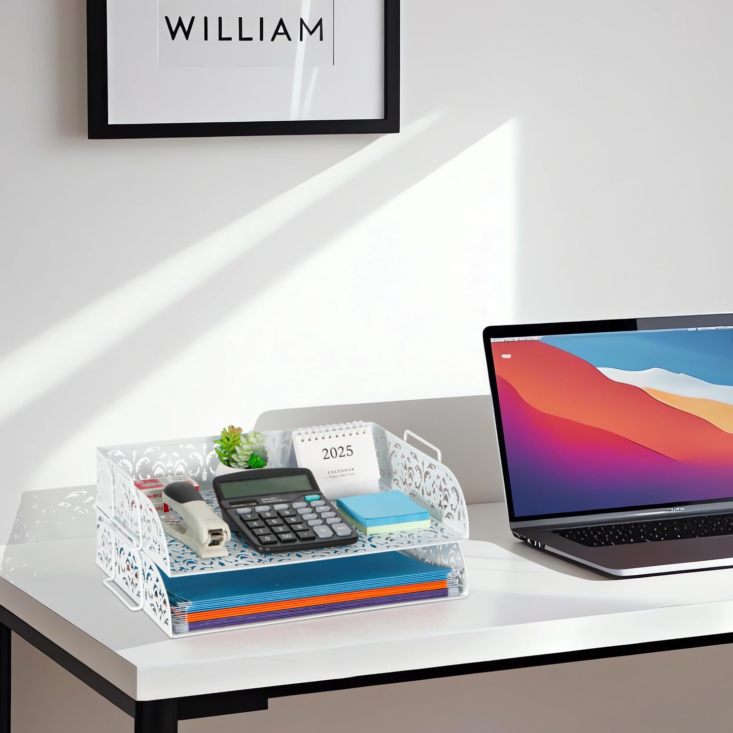 EasyPAG Paper Organizer for Desk 2 Tier Stackable Paper Tray for A4 Legal Size Folders Metal File