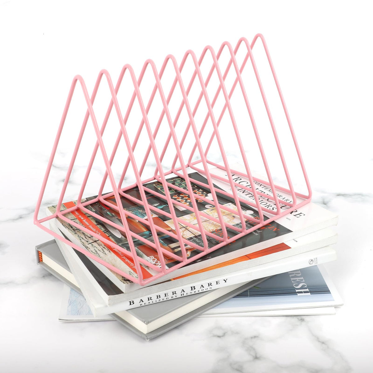 EASEPRES Vinyl Record Holder Storage, 9 Slot Metal Magazine Book Album Display Rack, Stylish