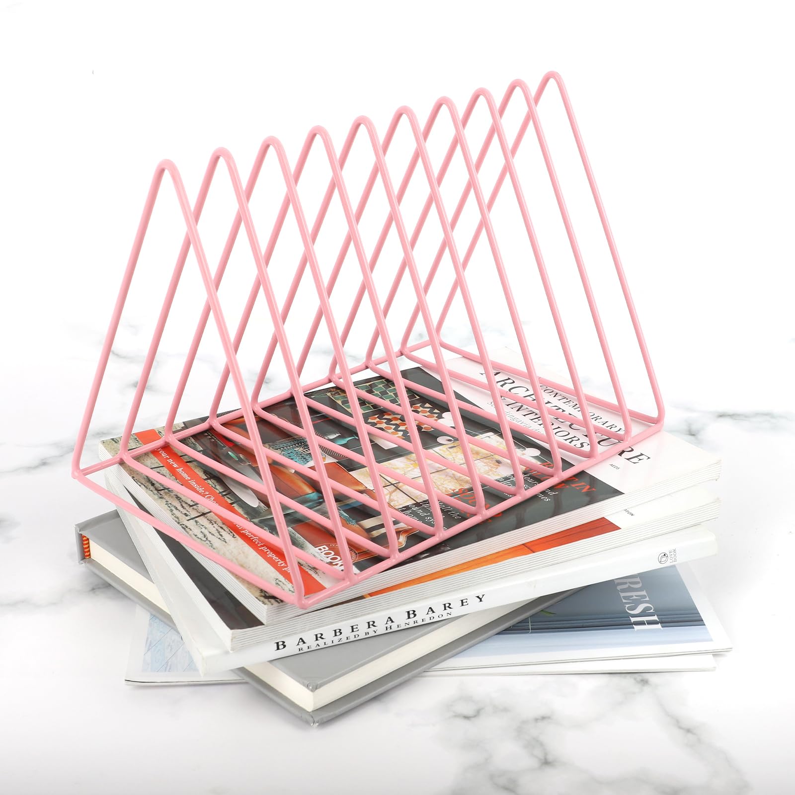 EASEPRES Vinyl Record Holder Storage, 9 Slot Metal Magazine Book Album Display Rack, Stylish