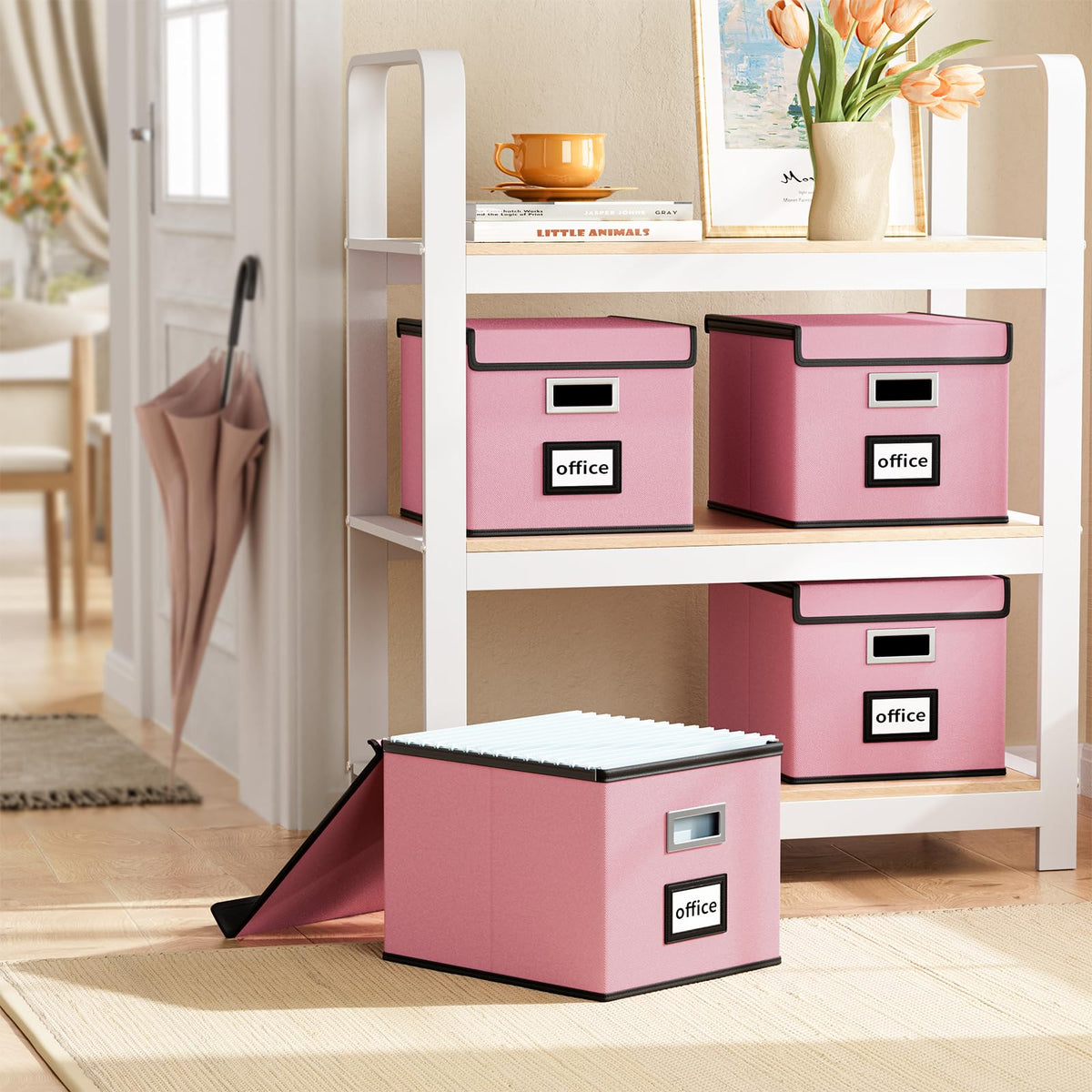 Huolewa File Organizer Box with Lids, Collapsible File Folder Organizer