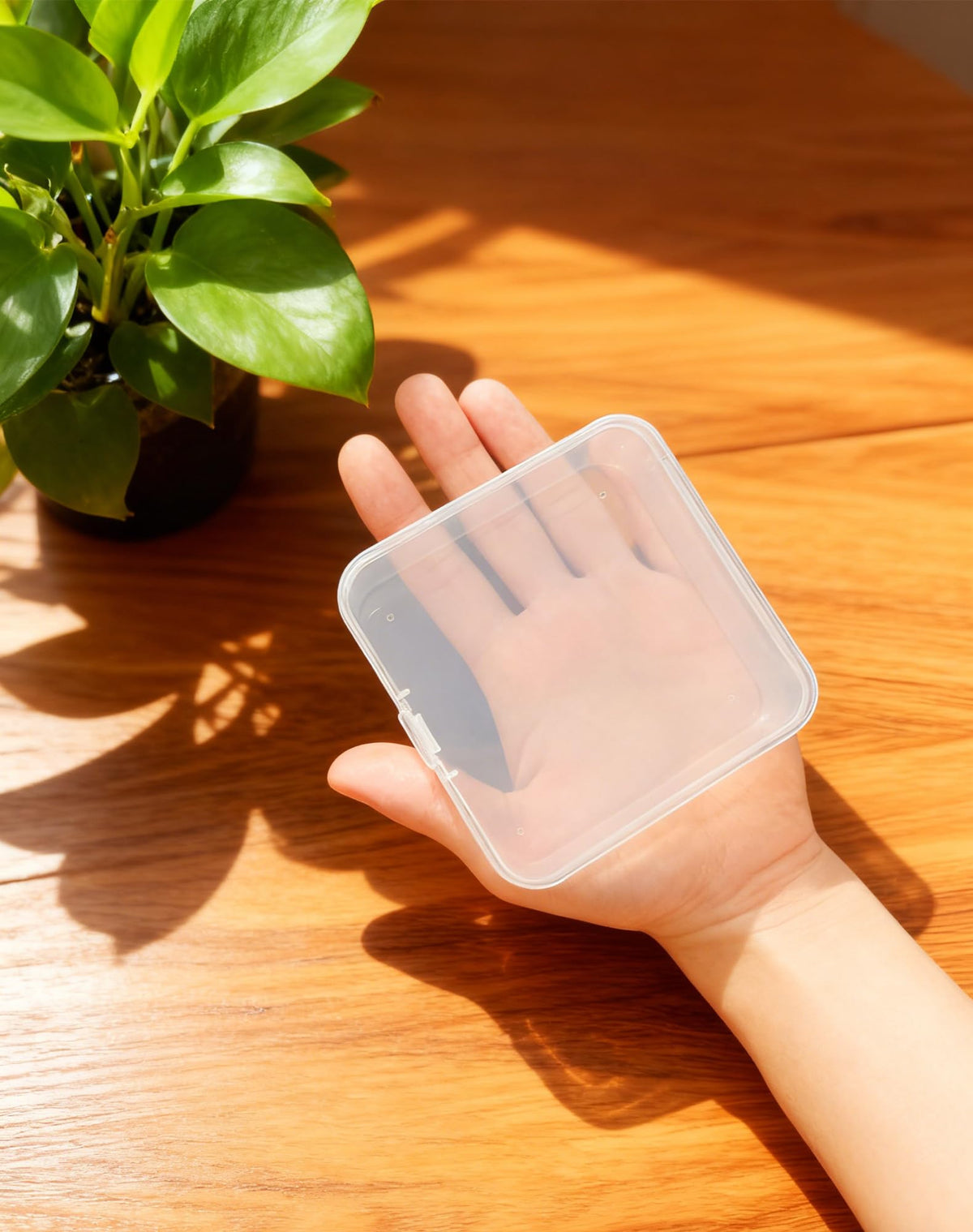 LJY 18 Clear Plastic Boxes, 3.7 x 3.7 x 1.4 in for Small Parts