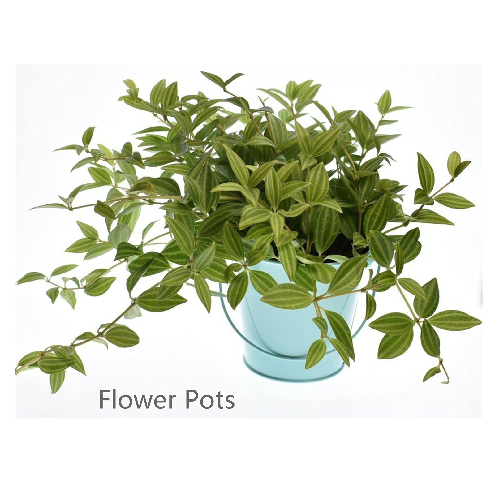TAKMA Colored Tin Buckets with Handle, 6 Pack 7.48 inch Galvanized Iron Pail Buckets for Kids