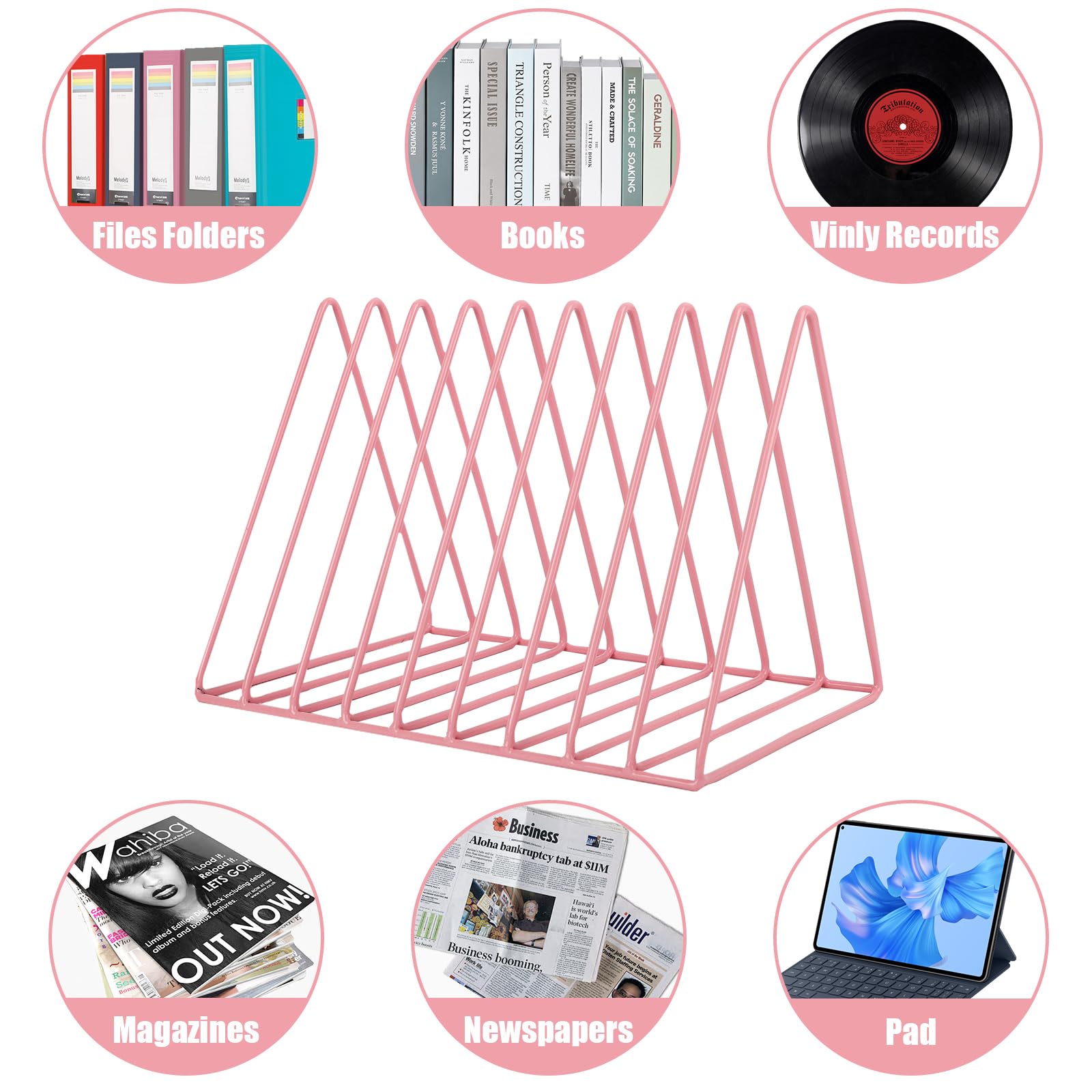 EASEPRES Vinyl Record Holder Storage, 9 Slot Metal Magazine Book Album Display Rack, Stylish