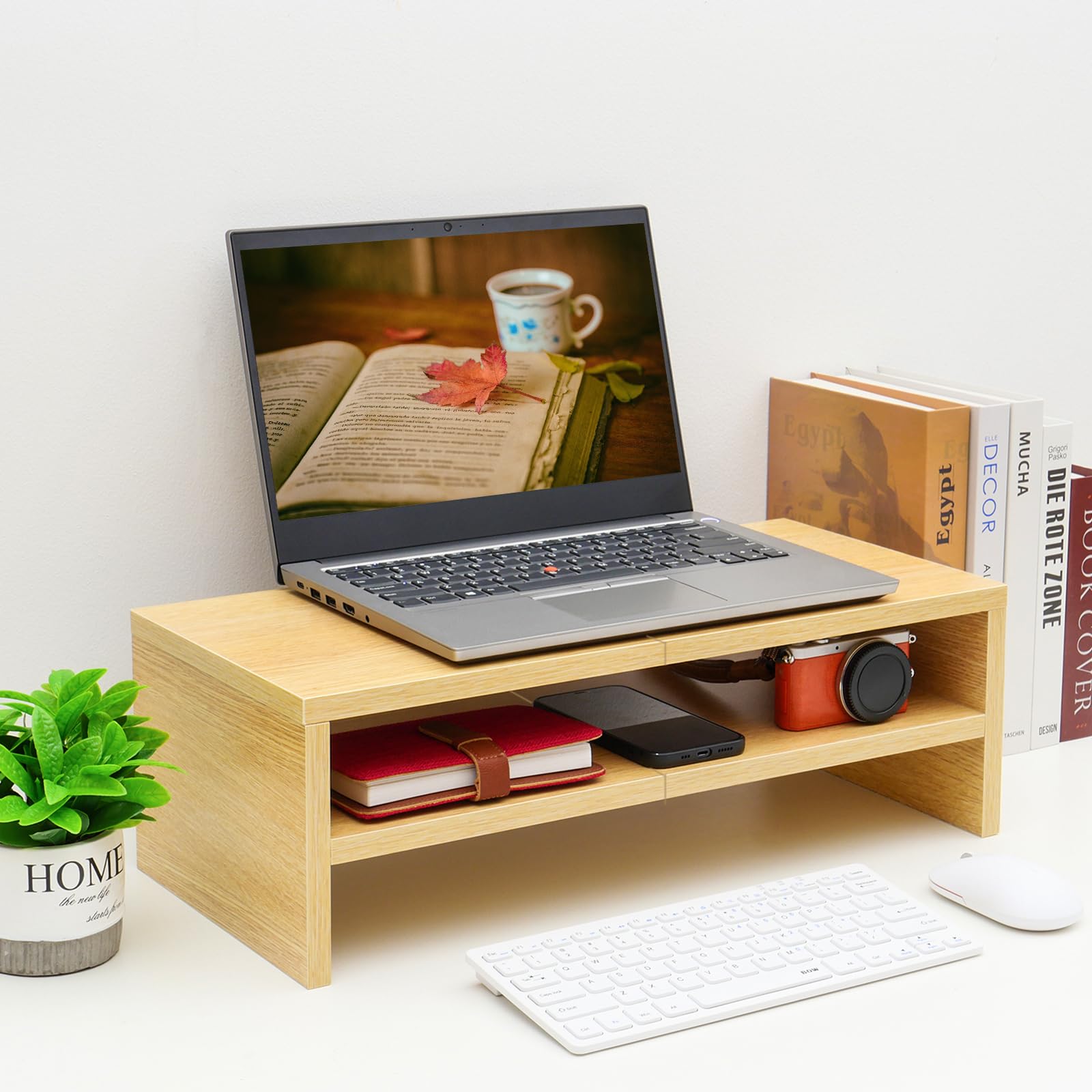 TEAMIX 20 inch Monitor Riser Stand - 2 Tiers, Wood Desktop Bookshelf, Maple