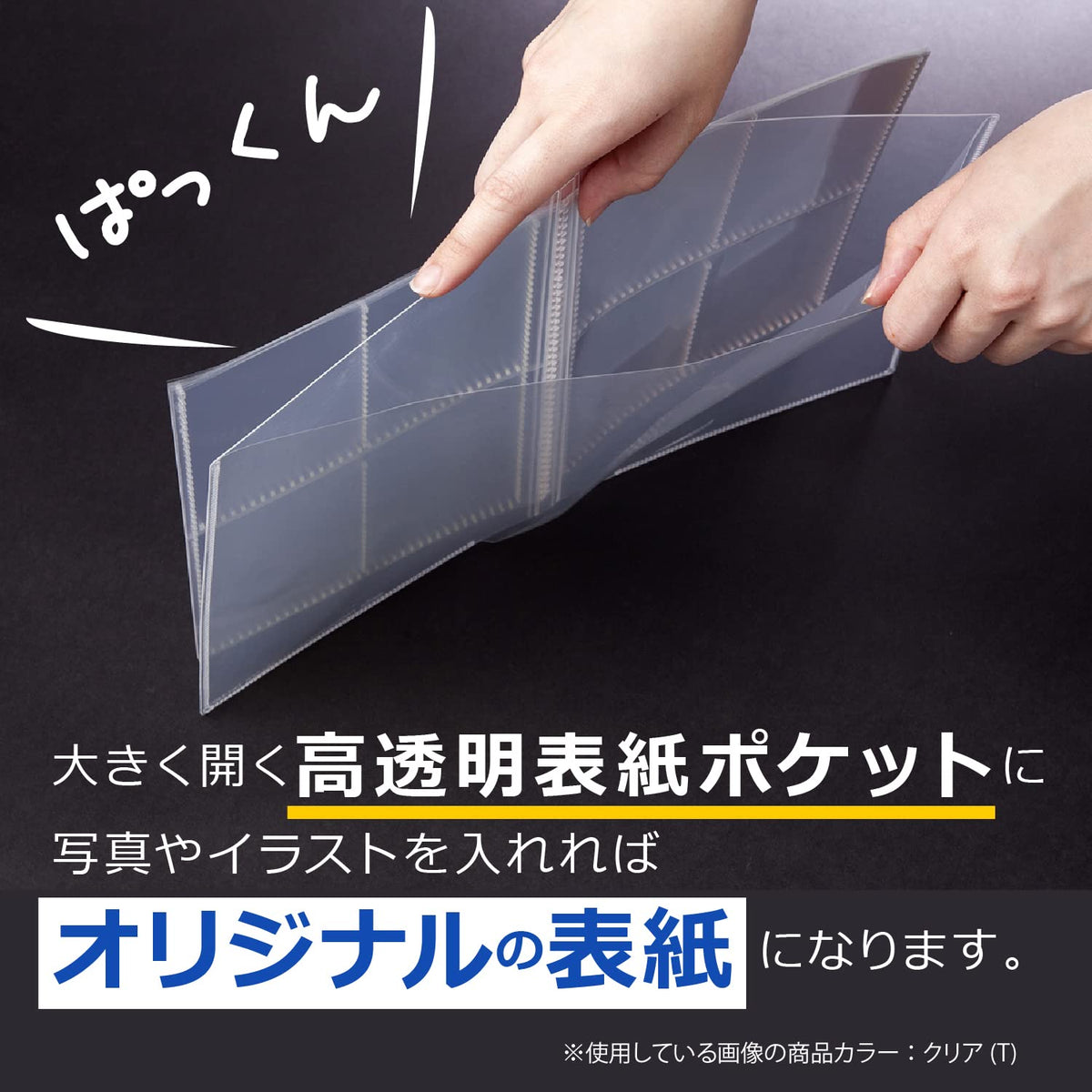 Sekisei PKT-7480 File Trading Card Holder, Pakkun, Clear