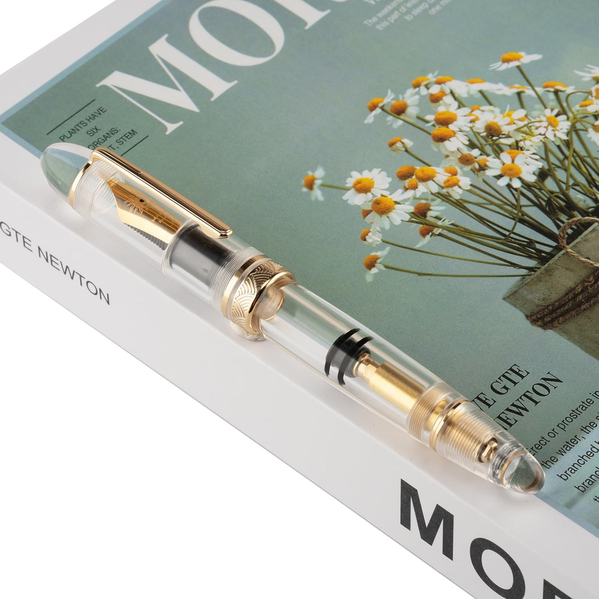erofa Majohn P140 Fountain Pen O.8 Medium Nib, Piston Fill Large Capacity Transparent Acrylic
