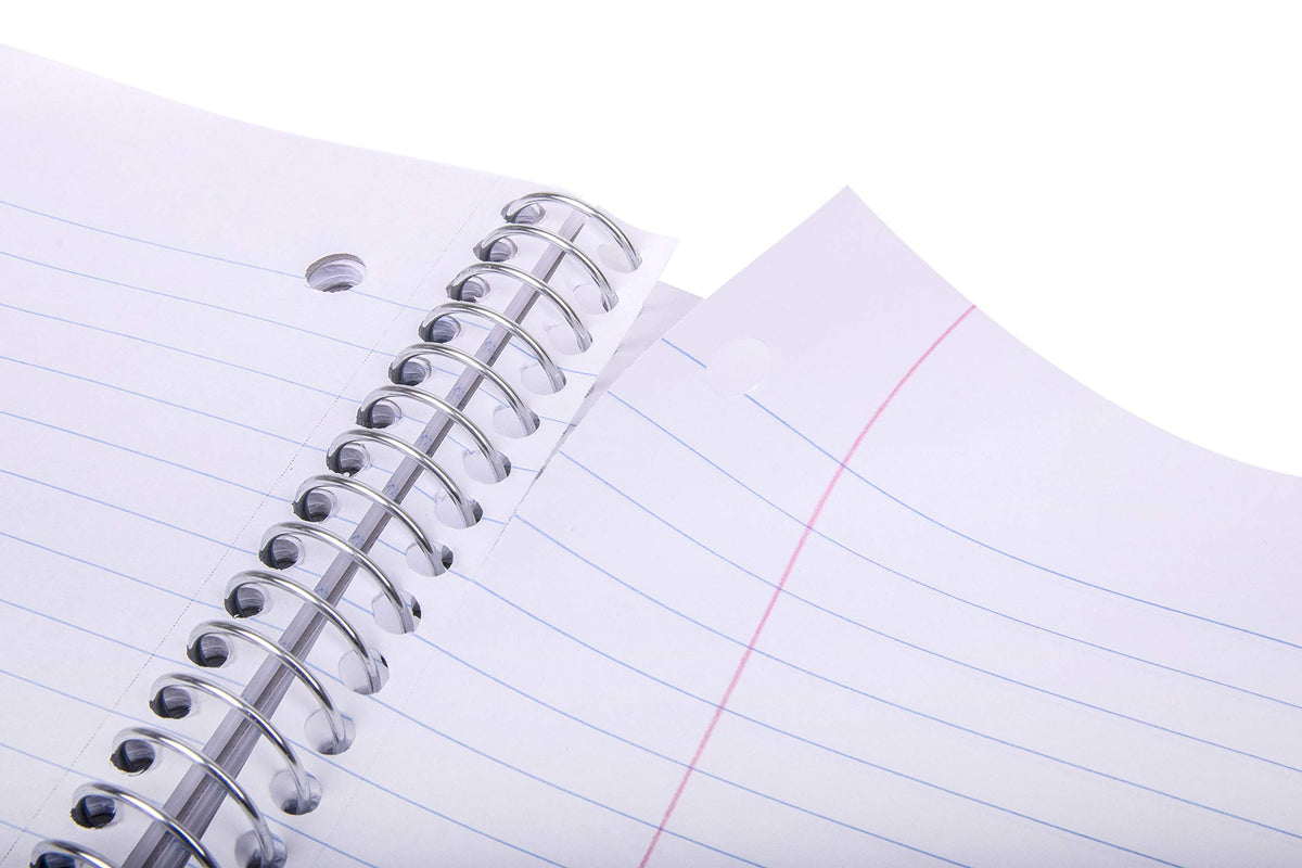Mintra Office Durable Spiral Notebooks, 3 Subject (Blue, College Ruled 2pk)
