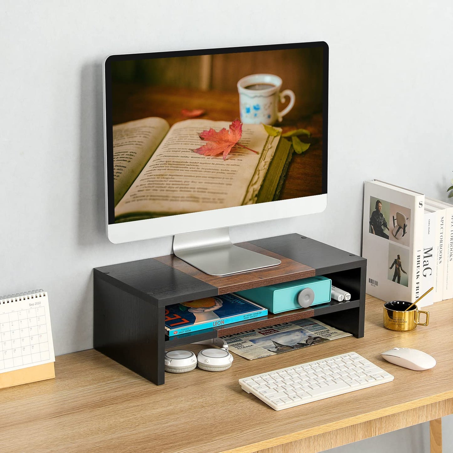 TEAMIX 20 inch Monitor Riser Stand - 2 Tiers, Wood Morden Desktop Bookshelf
