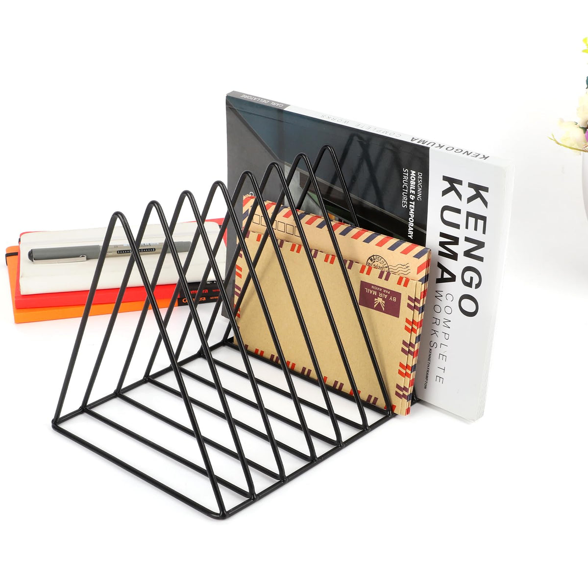 EASEPRES Vinyl Record Holder Storage, 9 Slot Metal Magazine Book Album Display Rack, Stylish
