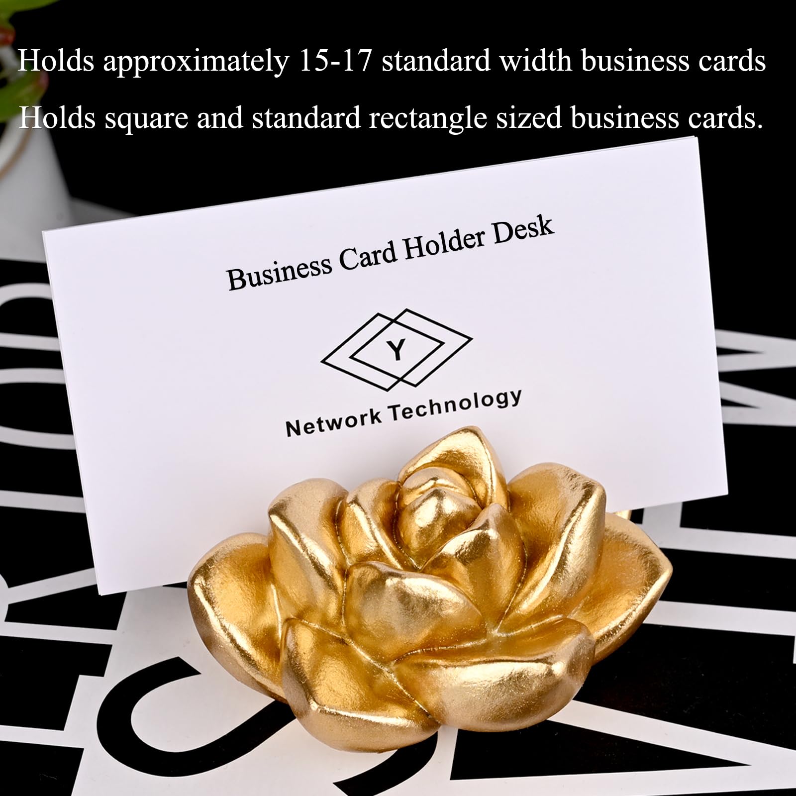 Succulent Business Card Holder for Desk Vertical Display Stand Trade Show