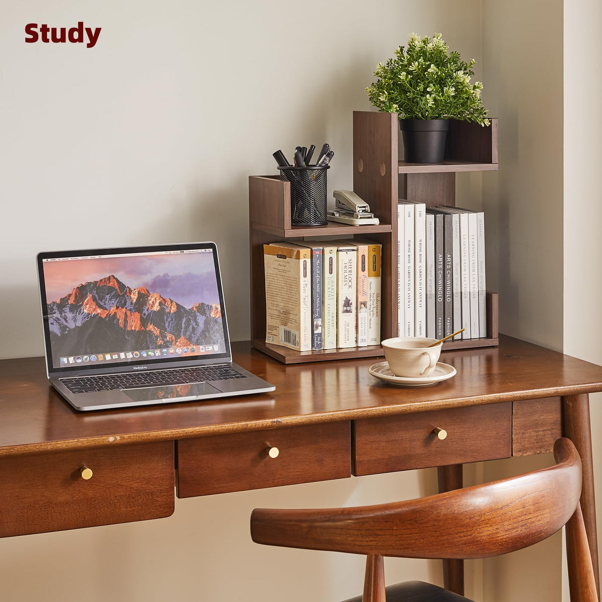 Aibiju Small Bookshelf for Small Space, Unique Cactus Bookcase, Kitchen Counter Shelf Desktop
