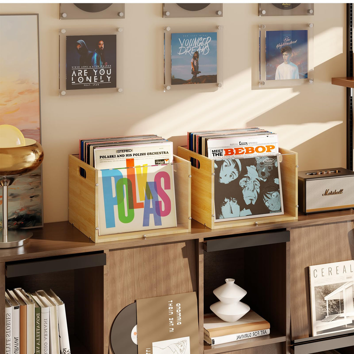 X-cosrack 2-Pack Vinyl Record Storage Box, Bamboo & Acrylic Crate