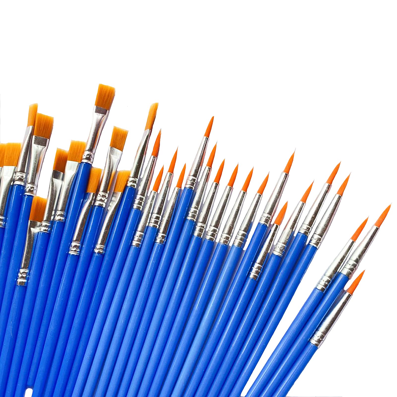 JINDUODUO 60 Pcs Paint Brushes for Kids, Students/Teens/Beginners,Watercolor/Oil/Acrylic Paint
