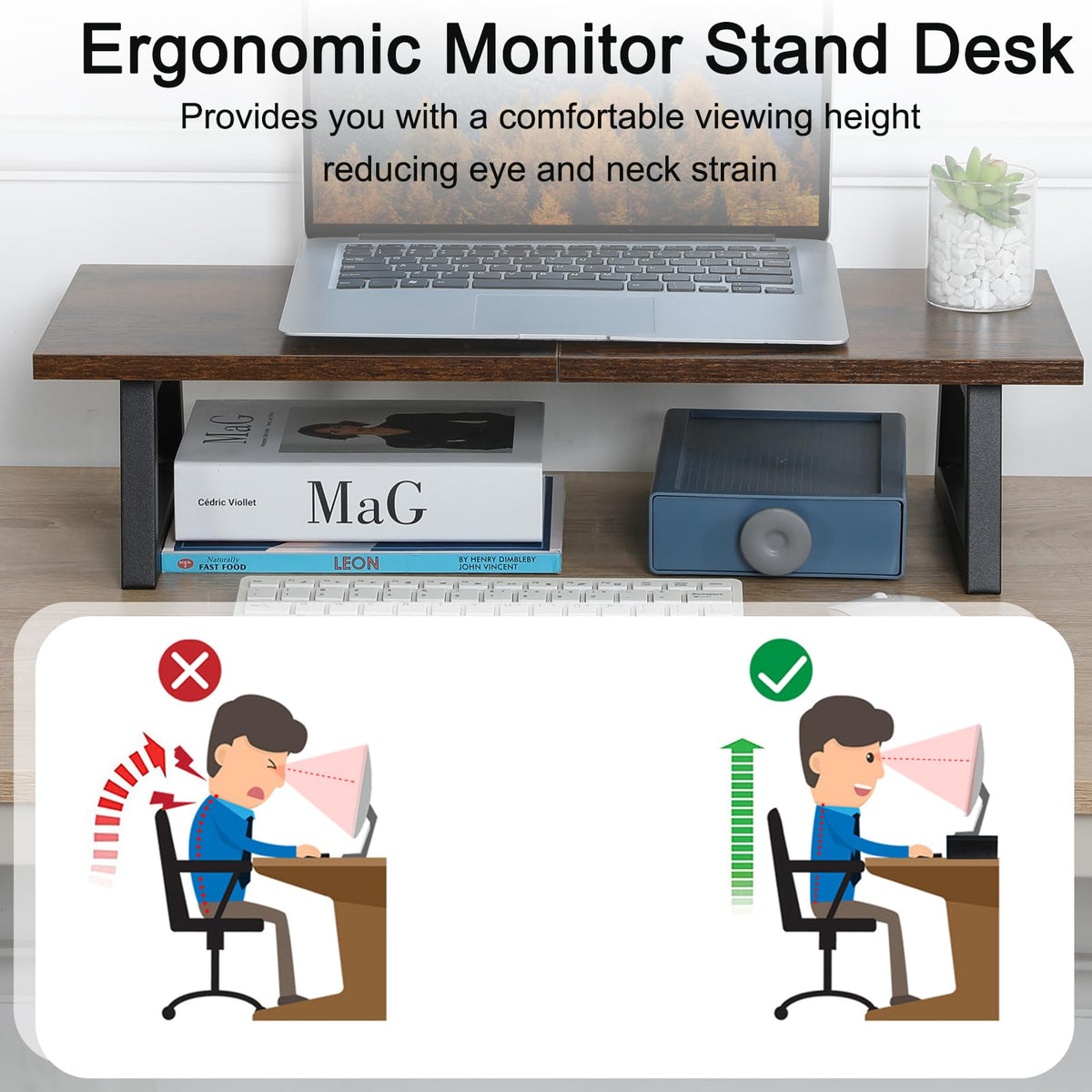 TEAMIX 24 inch Monitor Riser for Desk, Wood & Steel Computer/TV Stand Brown
