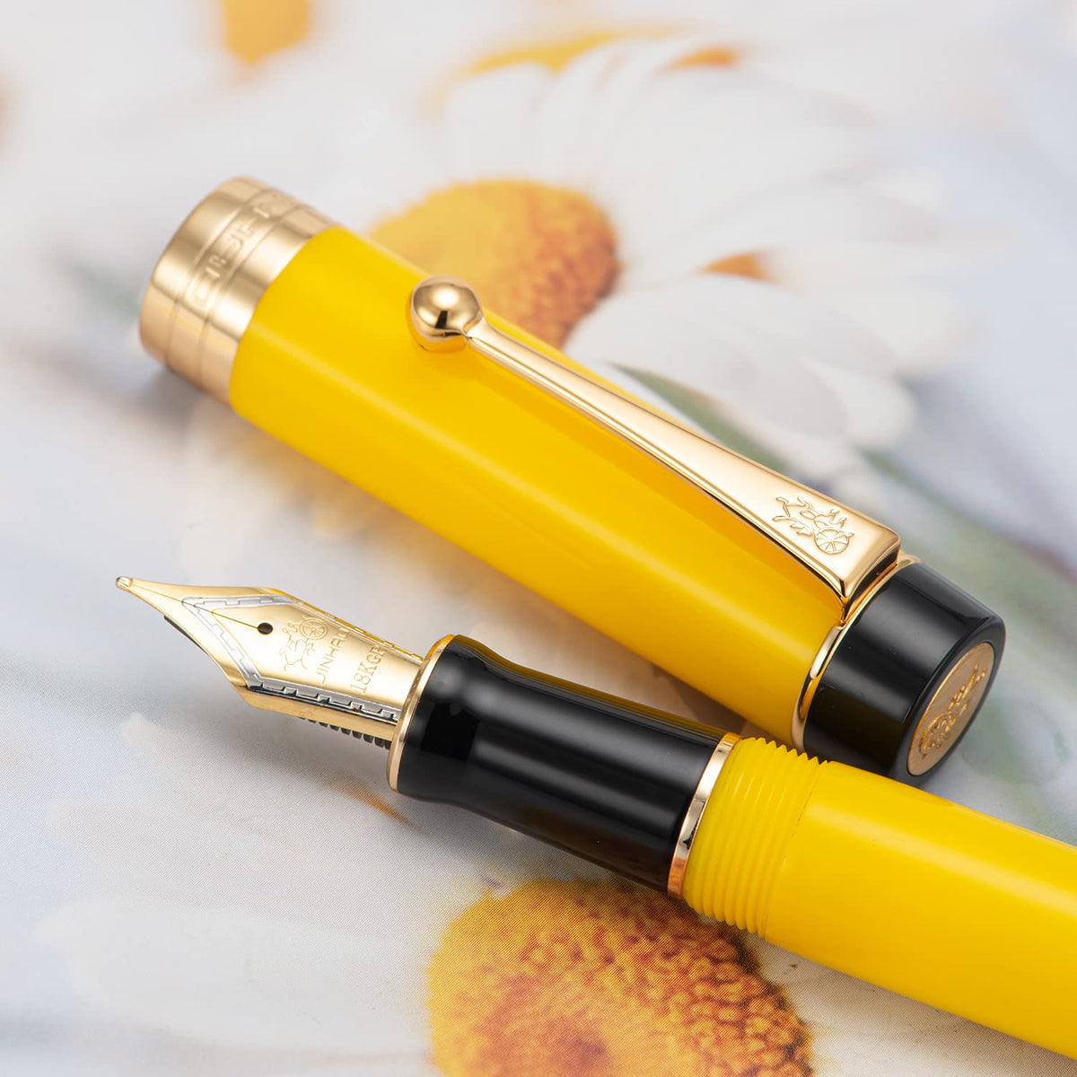 Jinhao Classic Fountain Pen Yellow Celluloid, Medium Nib with Converter and Metal Pen Case Set