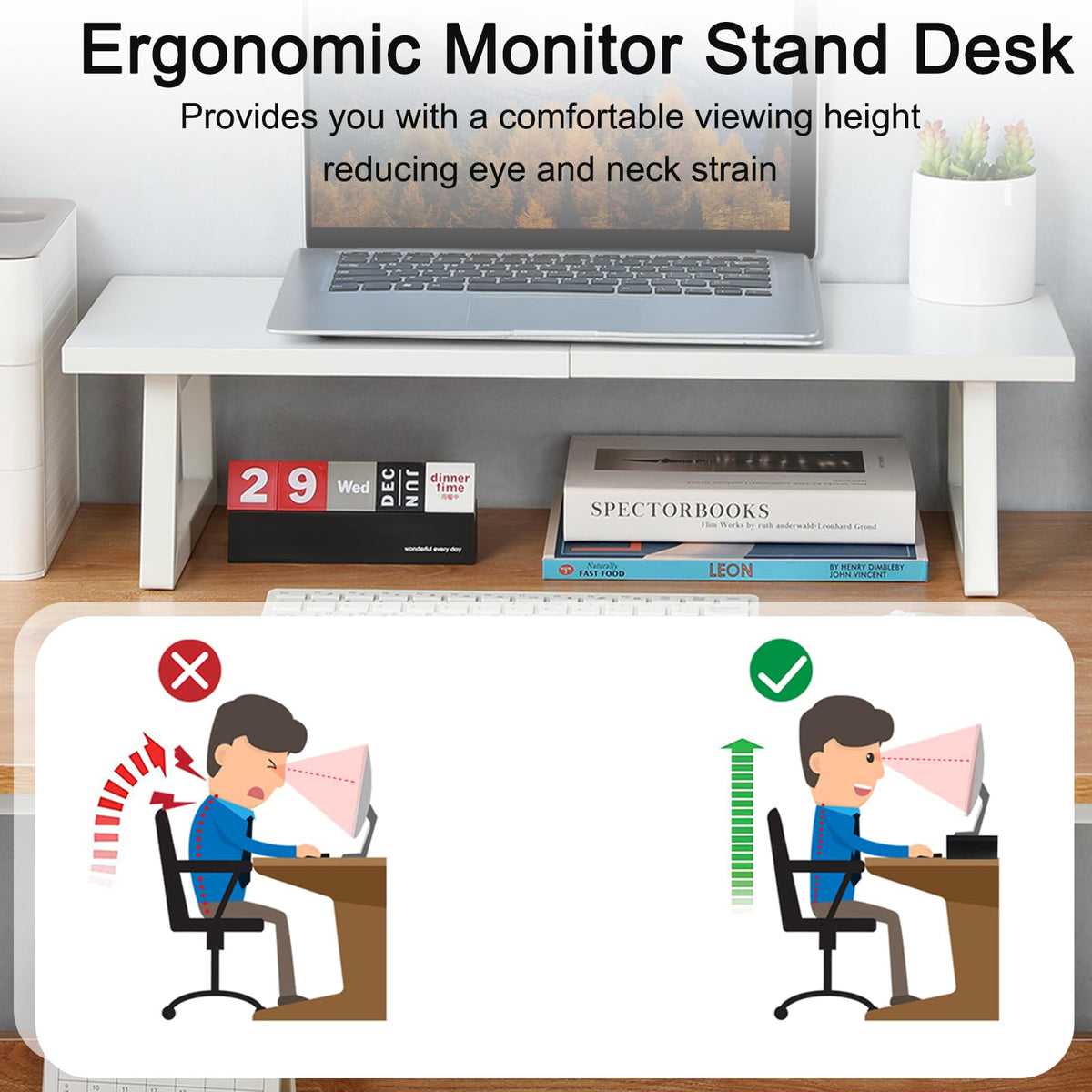 TEAMIX 24 inch Monitor Riser for Desk, Wood & Steel Computer/TV Stand White
