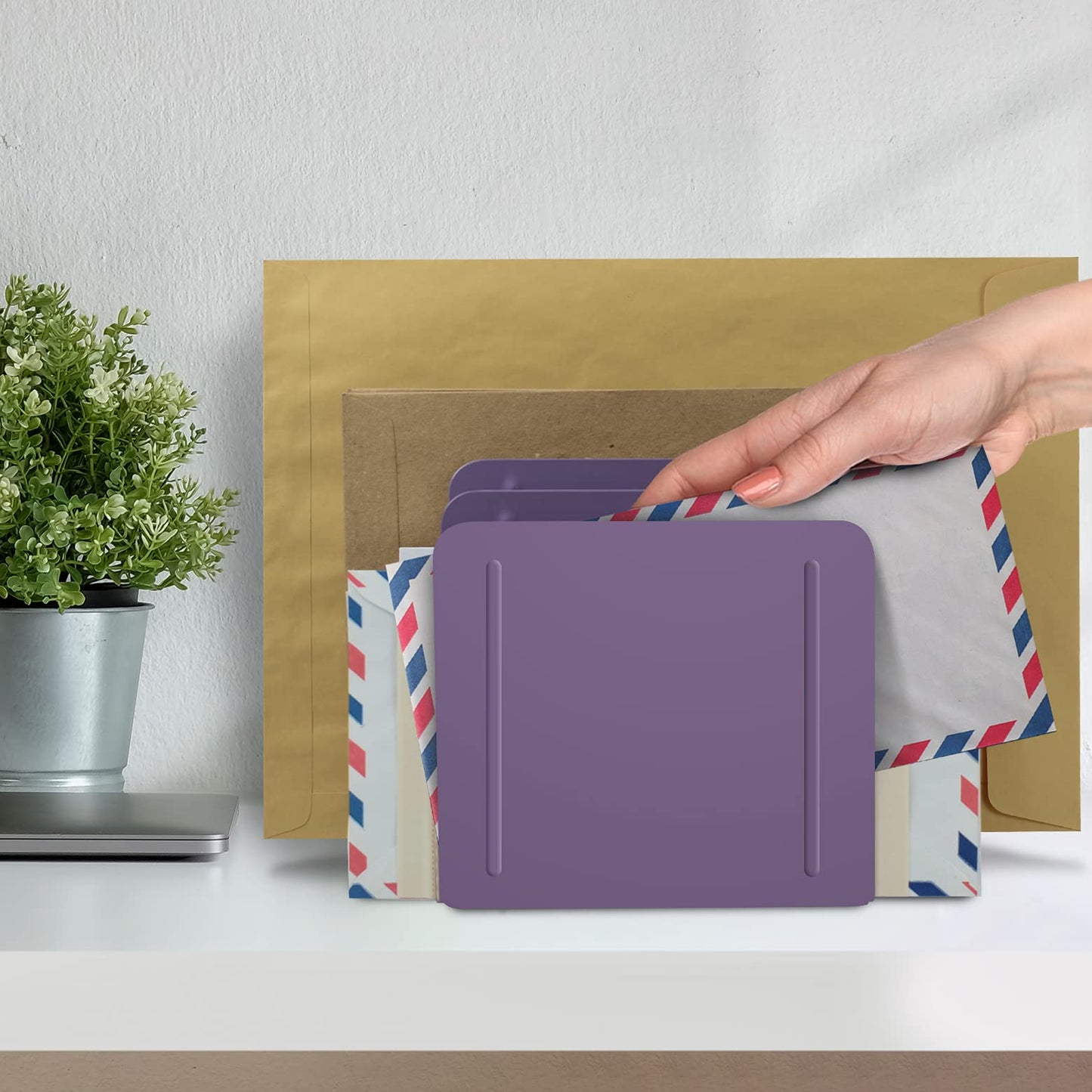 Acrimet 4-Section File Sorter Vertical, Metal Desktop Organizer, Purple
