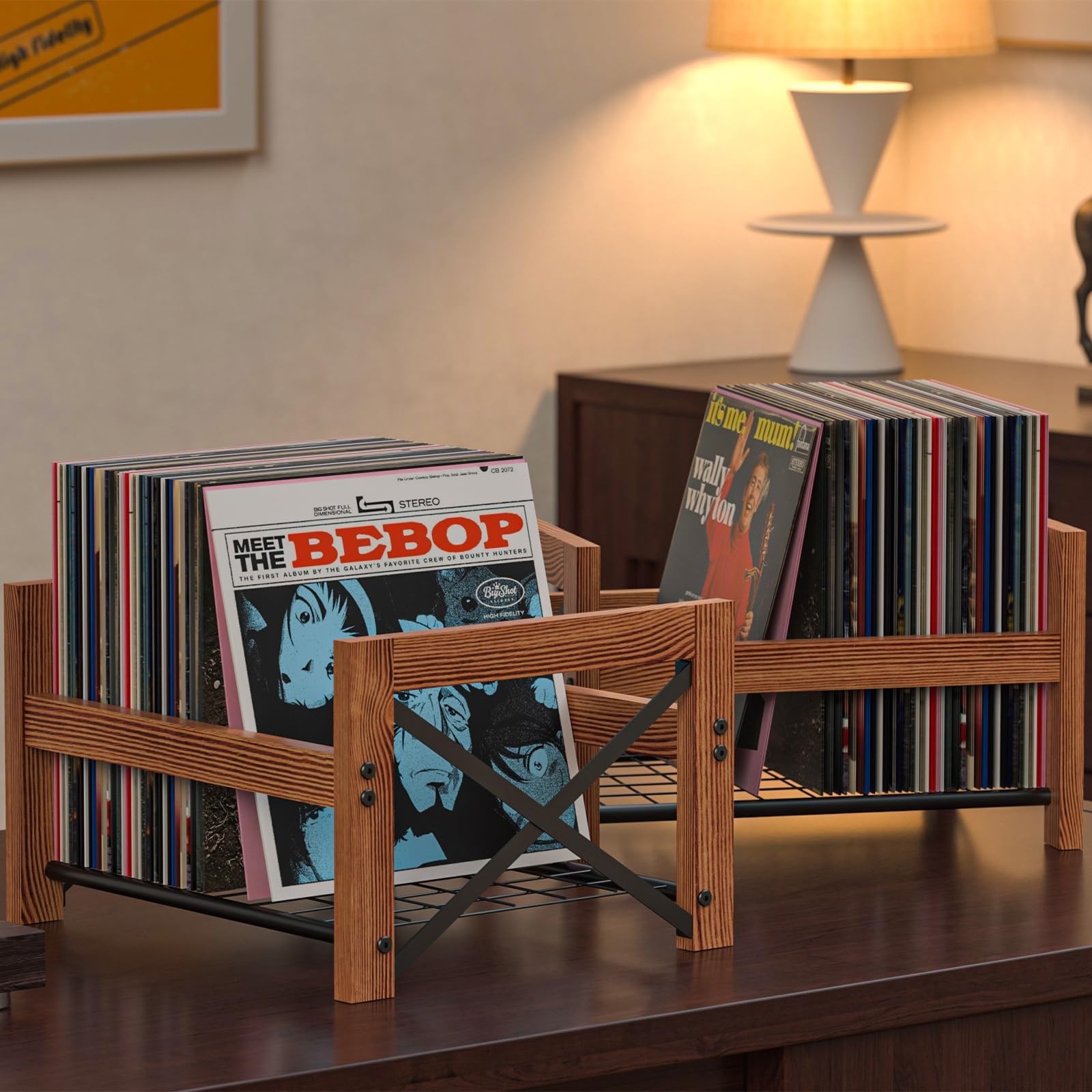 X-cosrack Vinyl Record Holder – 1 Pack Only – Fits 7"–12" Albums, Holds 50–100 Records, DVDs, or