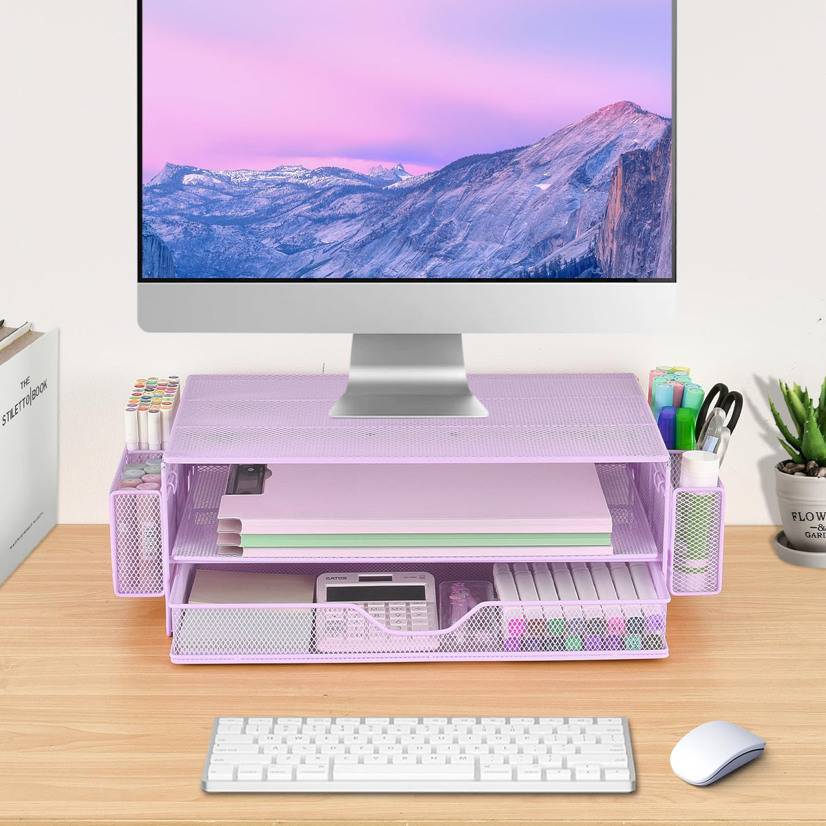 AUPSEN Computer Monitor Stands Riser，2-Tier Desk Organizers and Accessories, Office Desk