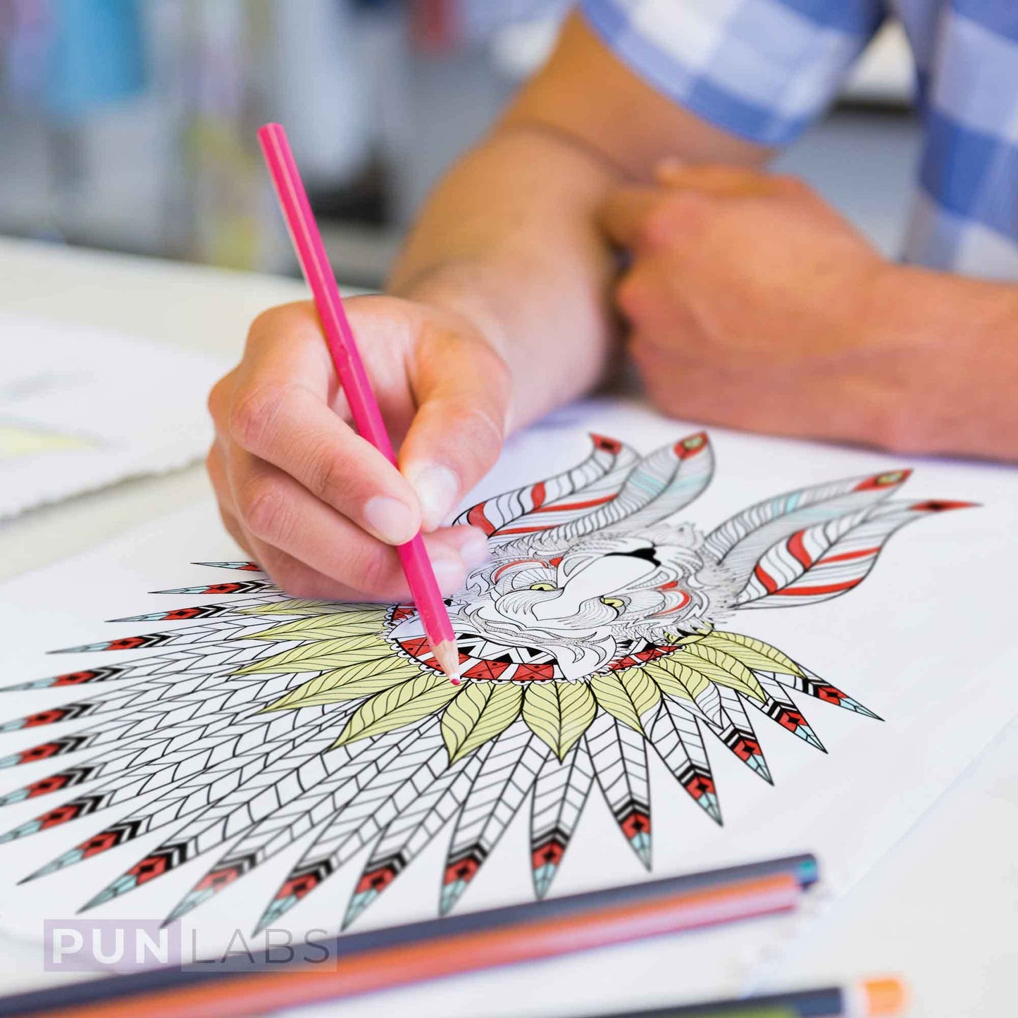 Pun Labs Glam Writes Colored Pencils, 12 Foil-Stamped Gift Set