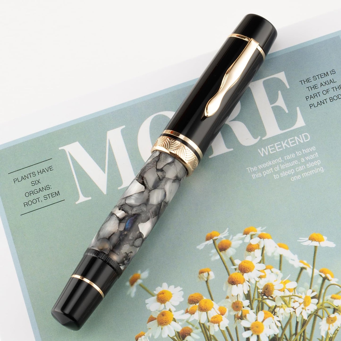 erofa Majohn P139 Piston Fountain Pen No.8 Medium Nib with Box, Gray Marble Acrylic Large Capacity