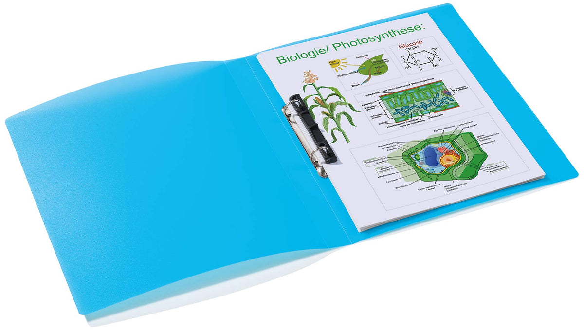 HERMA Ring Binder Translucent in Light Blue, A4, 25 mm Spine, Slim 2-Ring Binder Made of Plastic