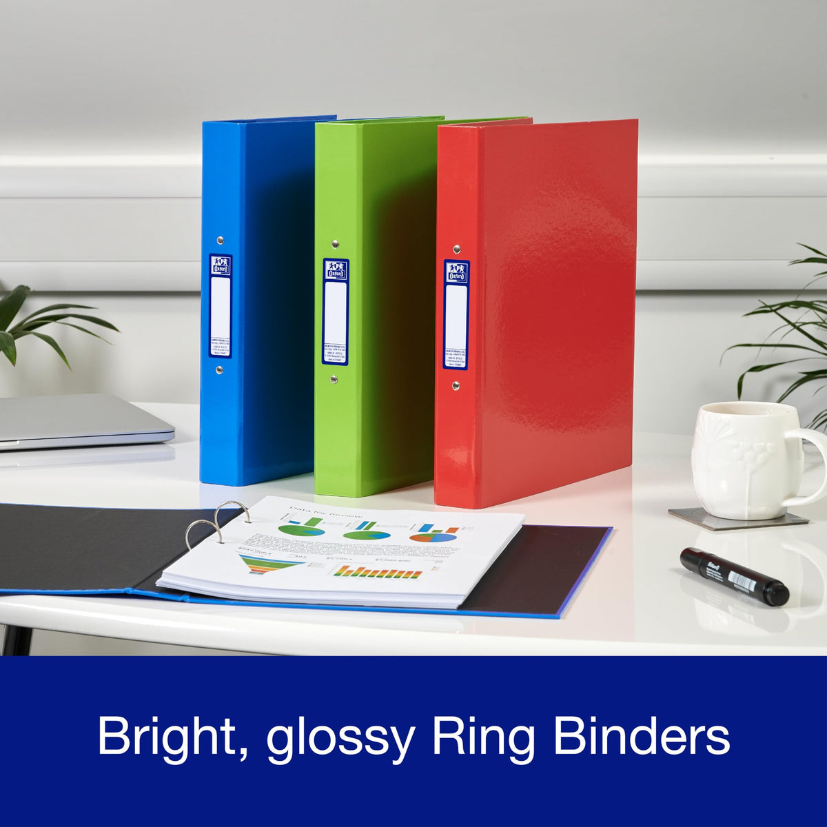 Elba 2 O-Ring Binder A4, Red/Green/Blue, Pack of 3 Folders