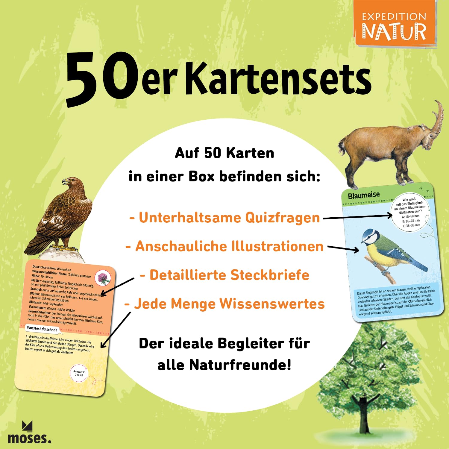 Expedition Natur. 50 heimische Vögel