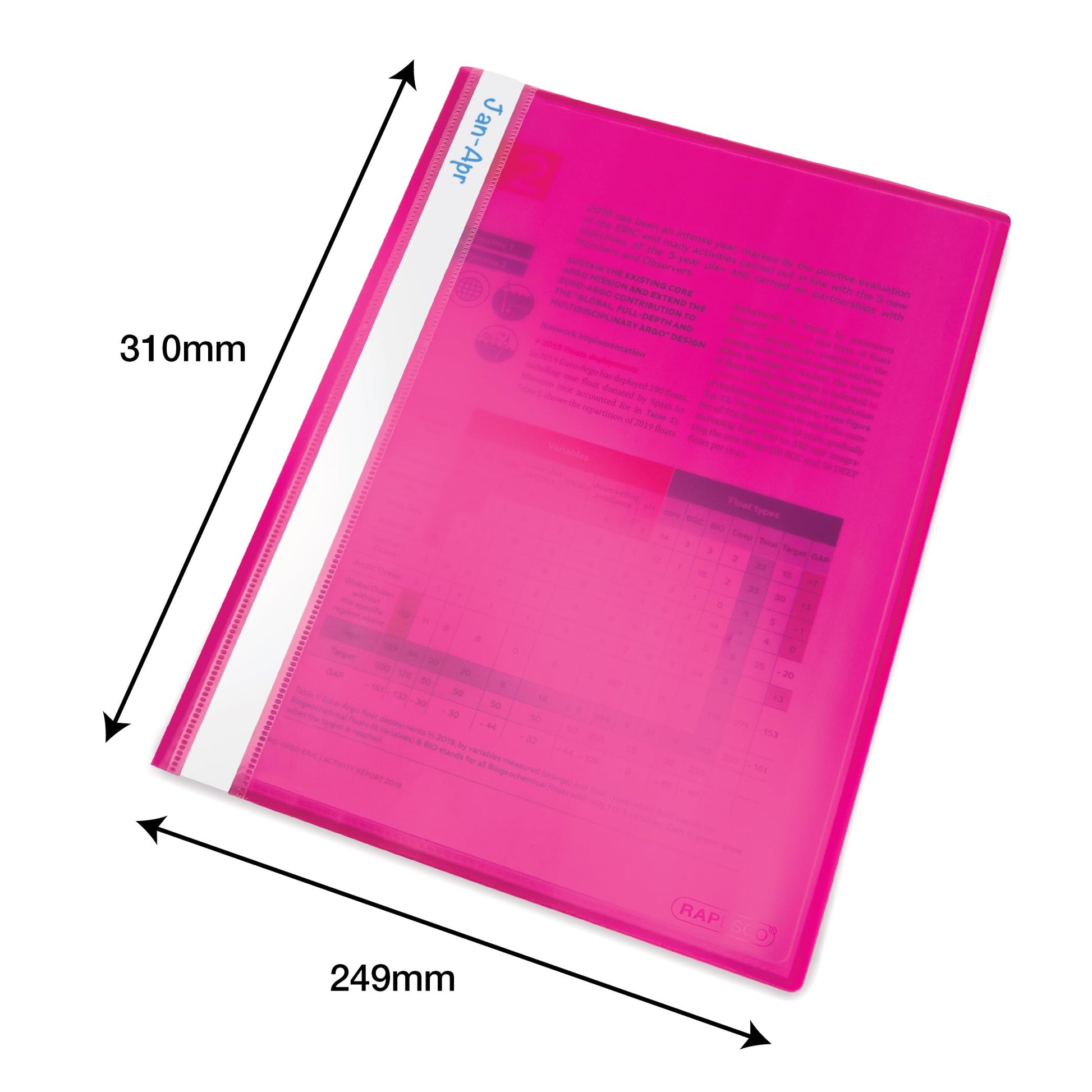 RAPESCO A4 Flexi Presentation 10-Pocket Display Book, Assorted, 10 Pocket