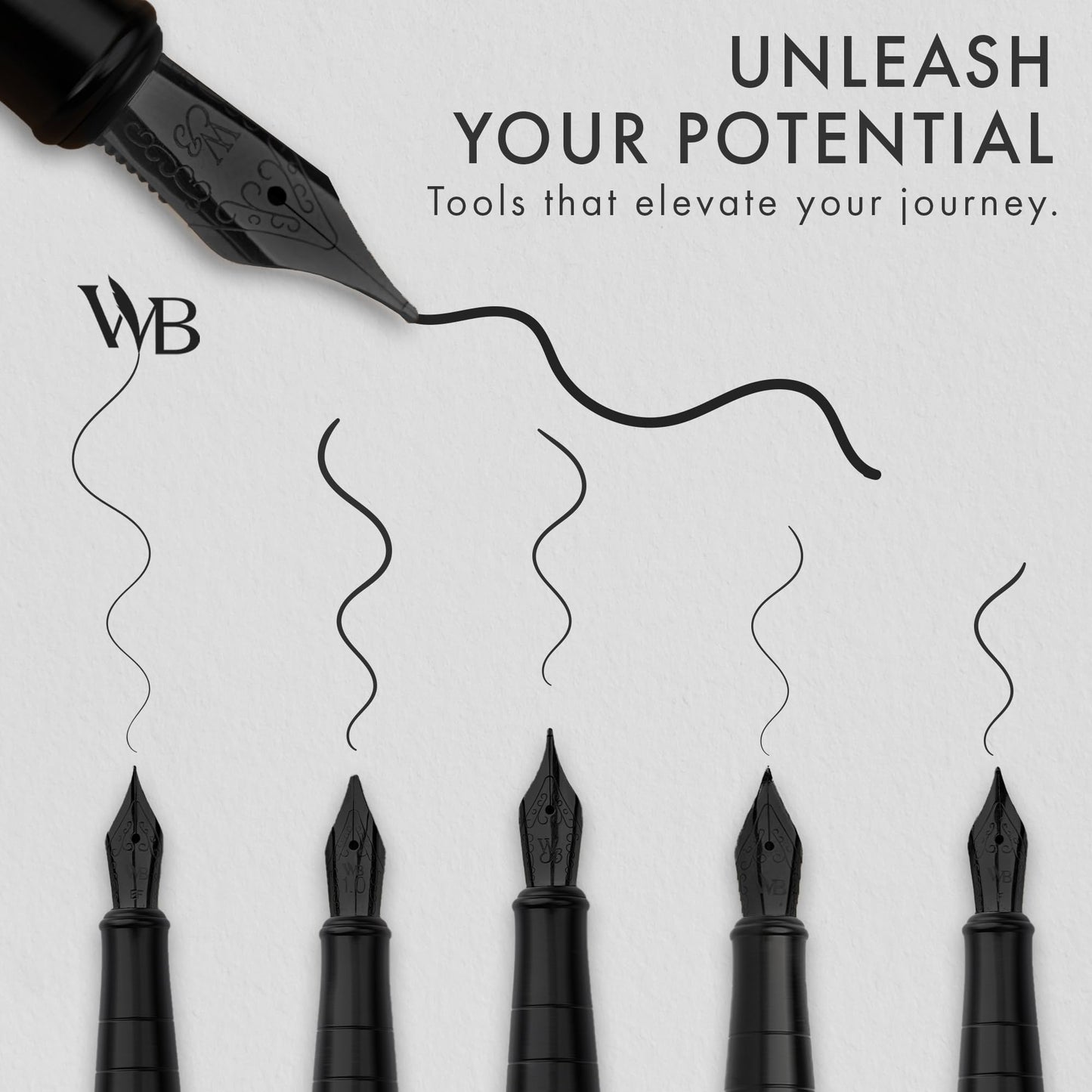 Wordsworth & Black Luxury Fountain Pen Set for Writing, 6 Nibs, All Black