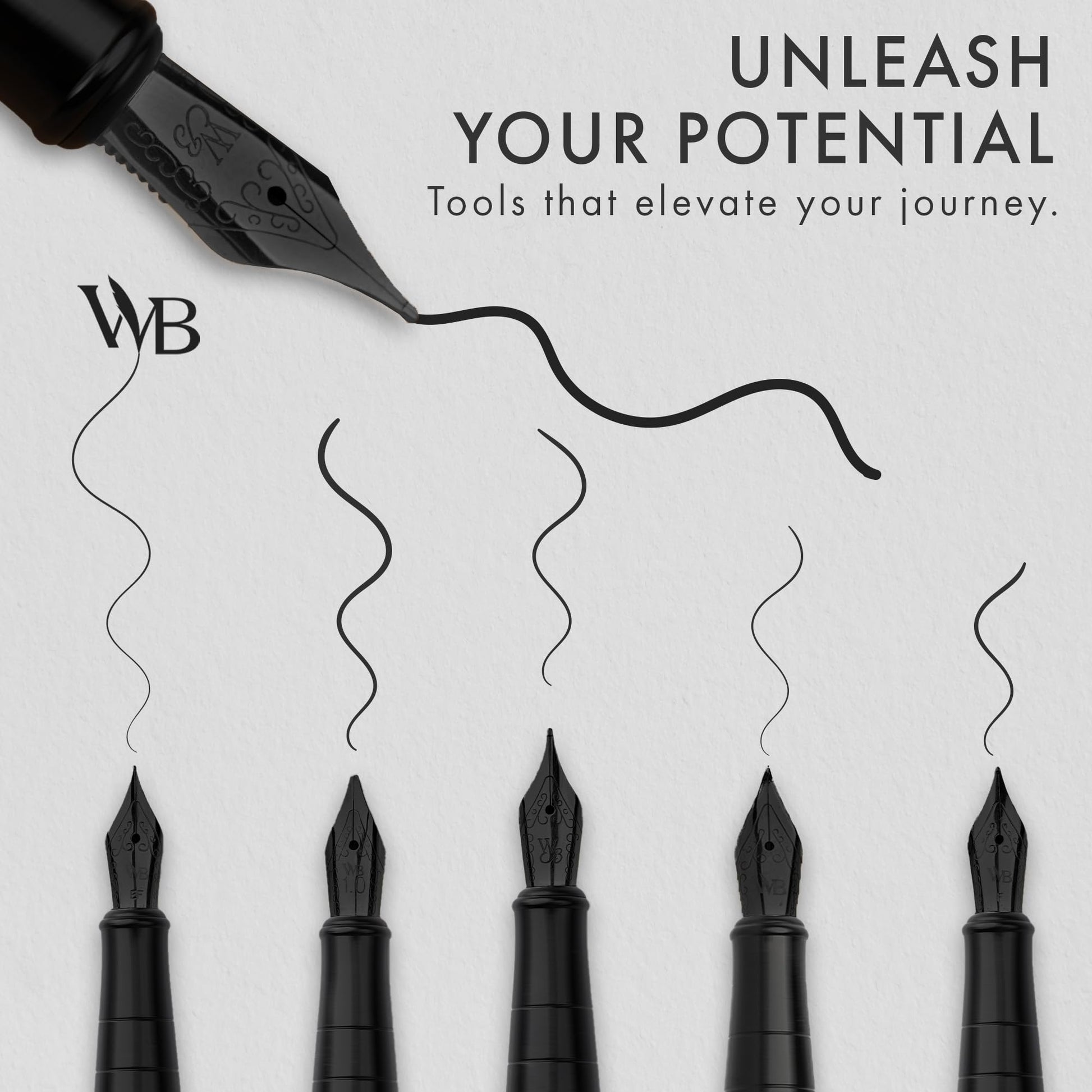 Wordsworth & Black Luxury Fountain Pen Set for Writing, 6 Nibs, All Black