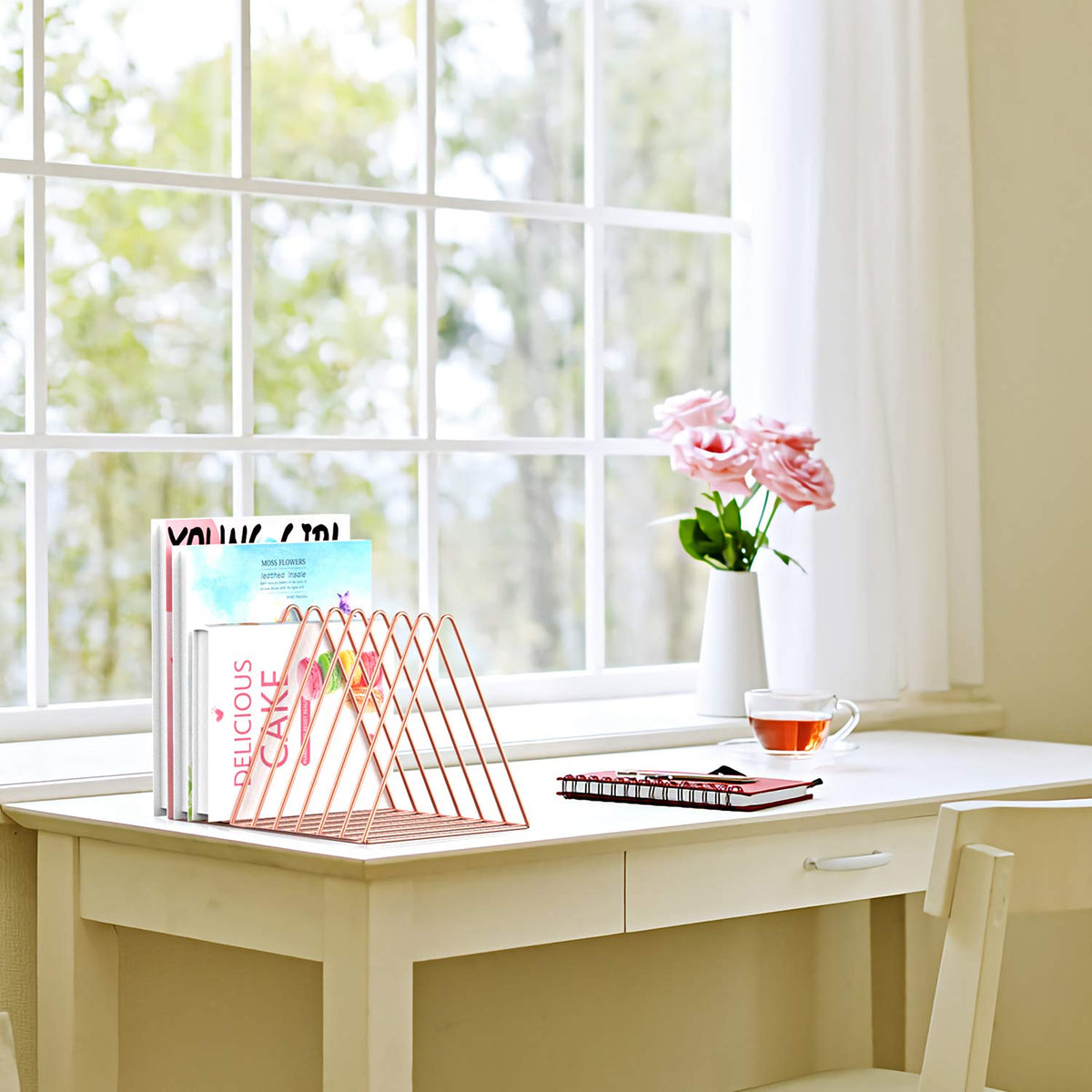 Files Folder Stand Desktop File Organizer, Triangle Wire Magazine Holder Book Shelf, 9 Slot File