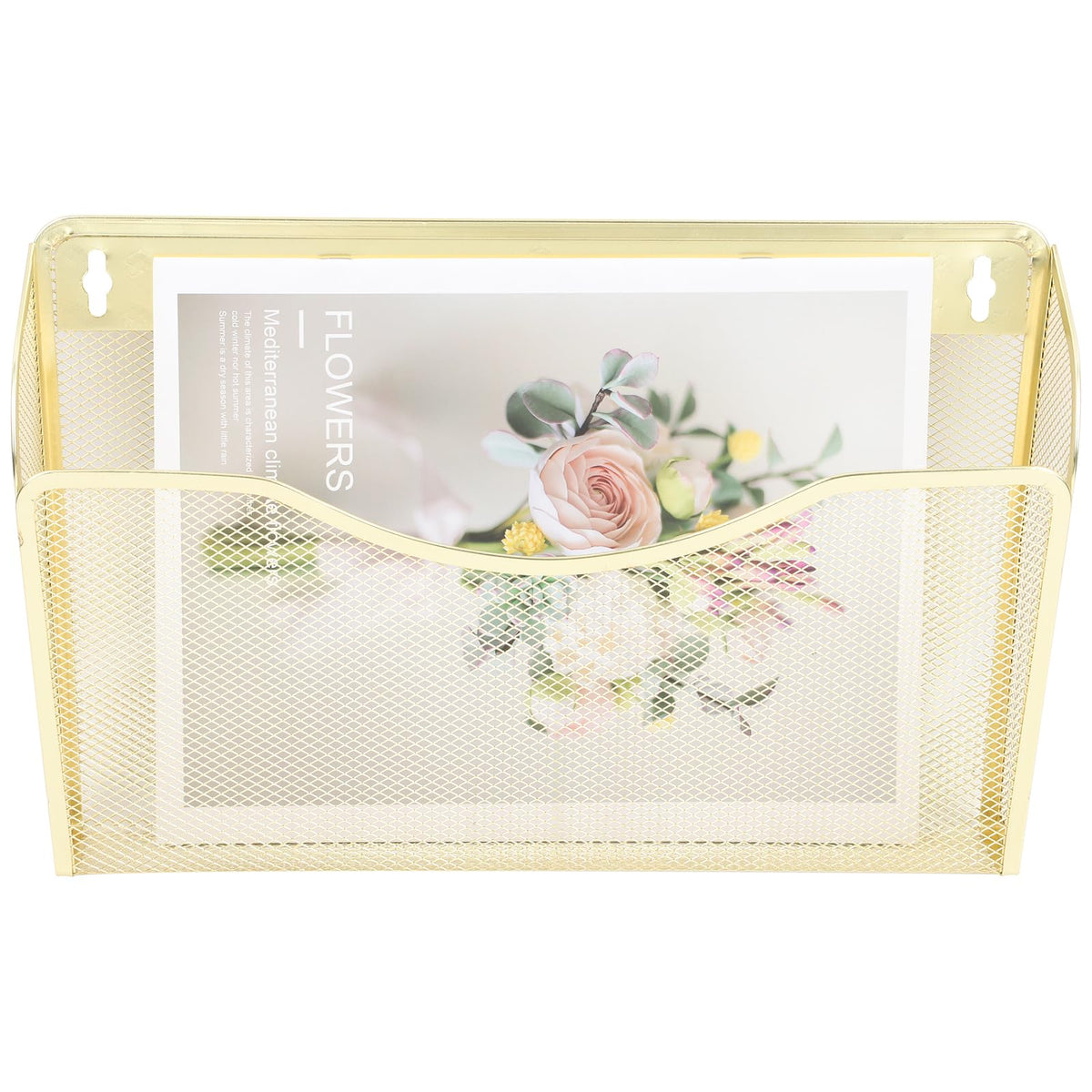 EASEPRES 3 Single Pocket Mesh Hanging File Organizer, Vertical Wall Mounted Magazine File Holder