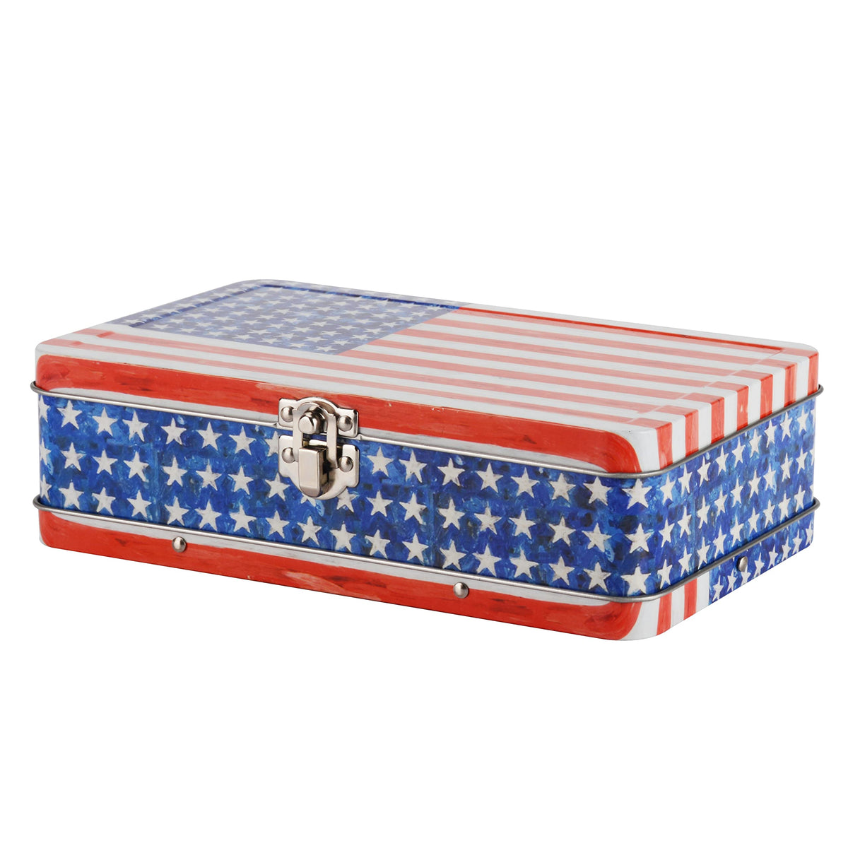 DAHO Metal Storage Box with Hinge for Office, School, Home, Makeup, Arts & Crafts and Accessories