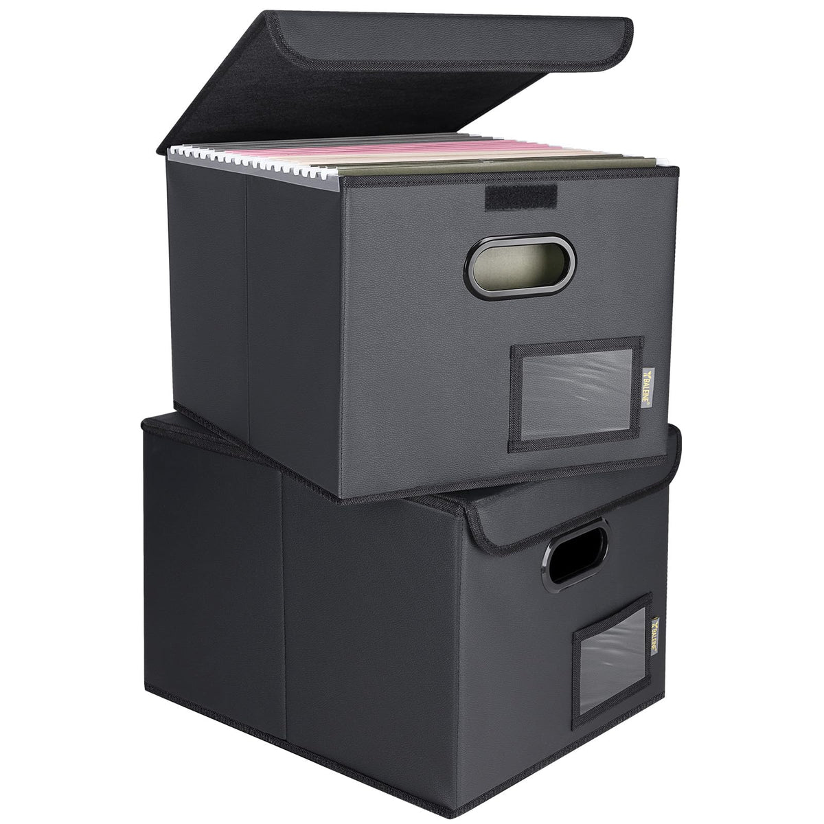 BALEINE File Organizer Box with Lid, Collapsible Hanging File Storage Box