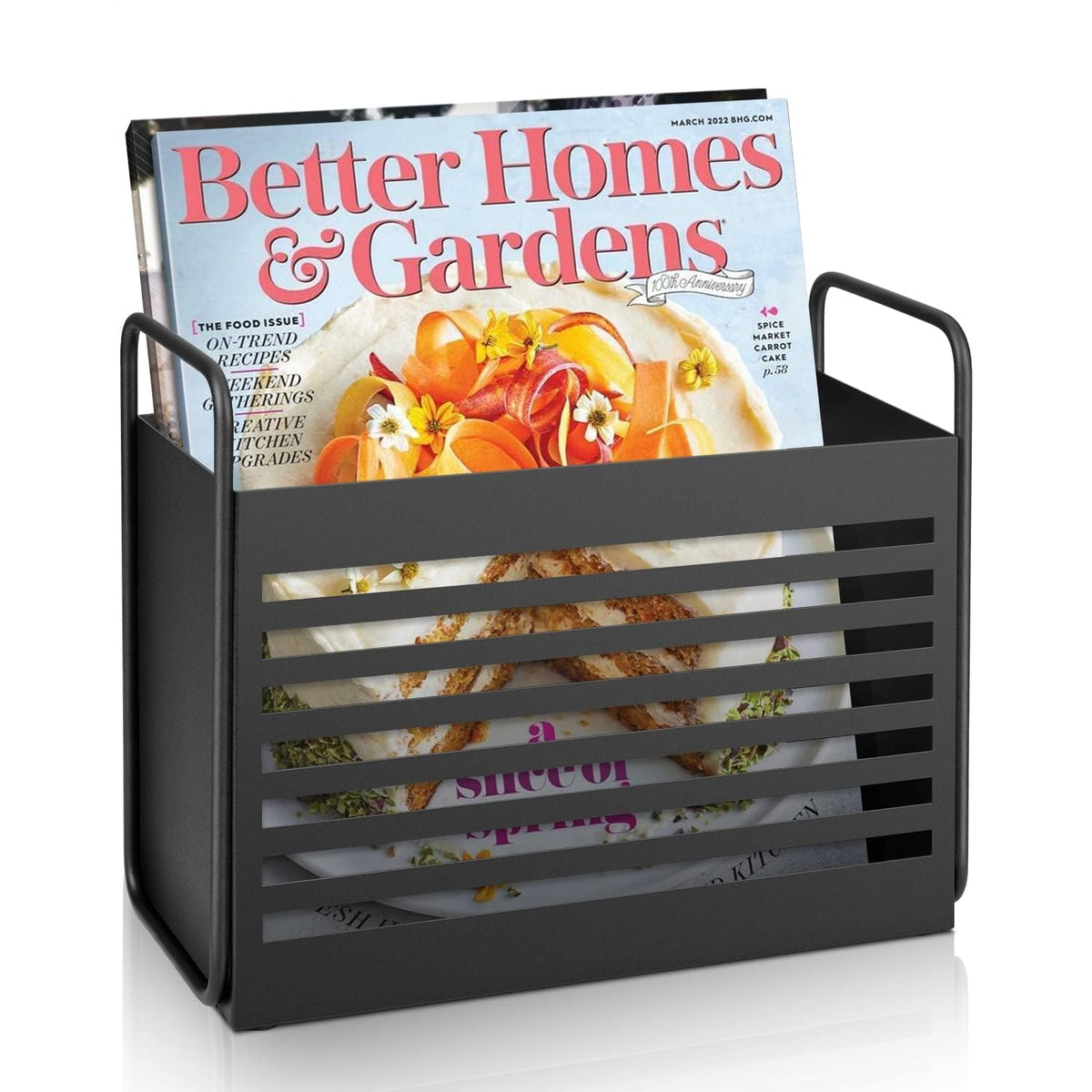 Cedwnuer Metal Magazine Rack for Living Room, Modern Iron Magazine Holder Organizer with Sturdy