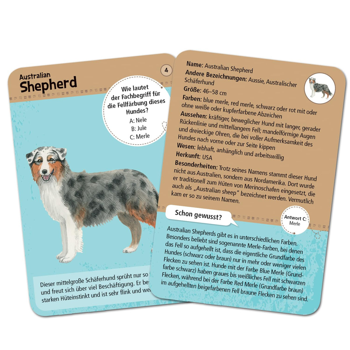 Moses. Expedition Natur/Dog | Box of 50 Cards | with exciting Quiz Questions