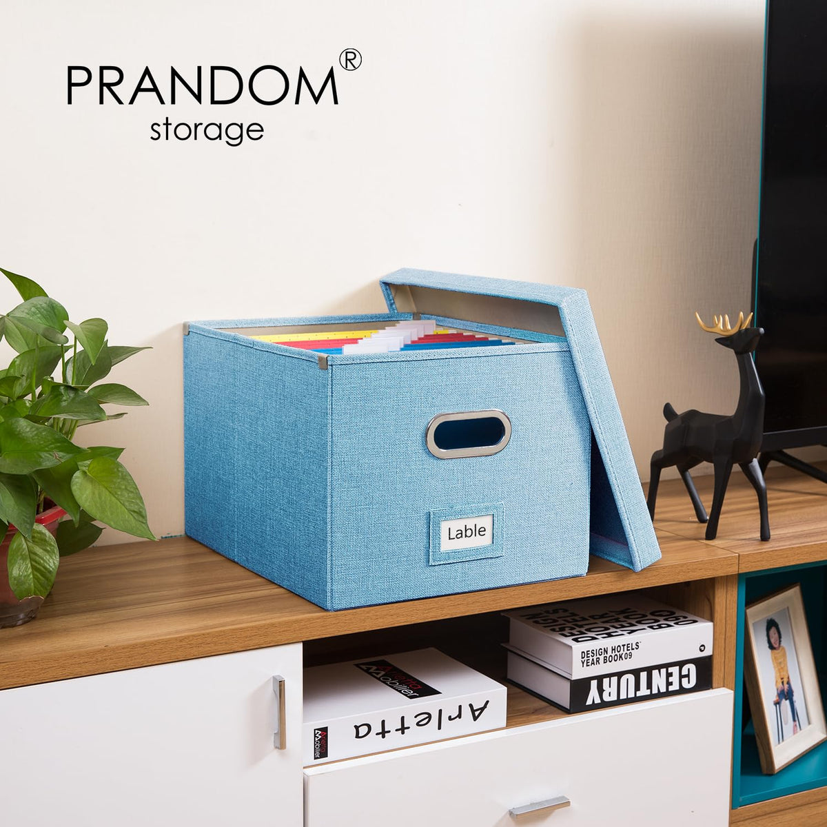 PRANDOM File Organizer Box - Set of 4 Collapsible Decorative Linen Filing Storage Hanging File