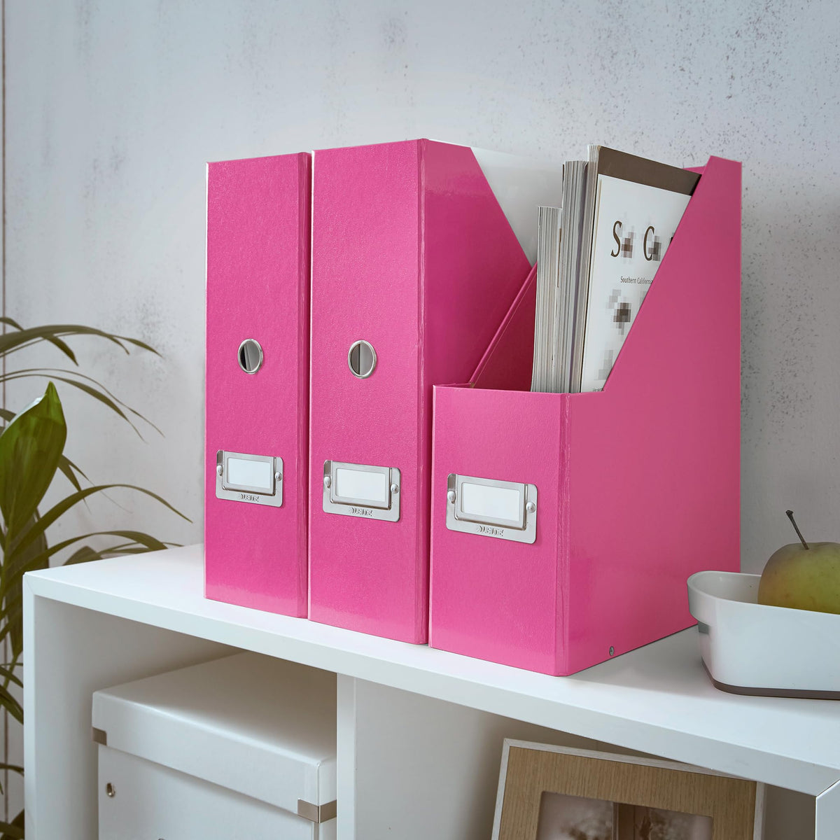Leitz Magazine File Holder, A4, Cardboard Document Storage Box with Label, Foldable, for Home