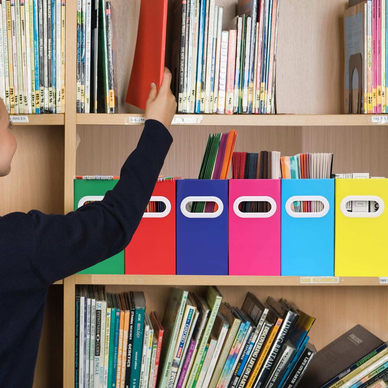 Aosric File Box for Hanging File Folders, Collapsible Cardboard Box