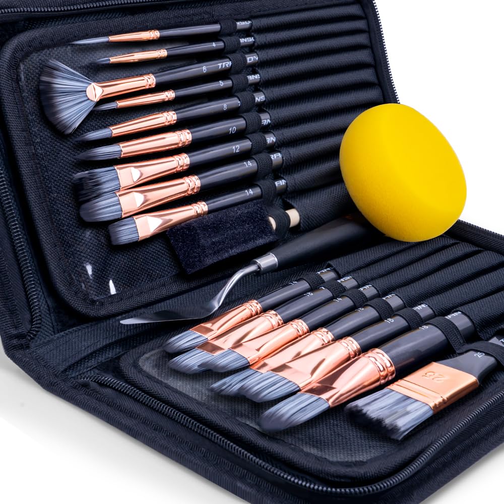 Transon 20Pcs Art Paint Brush Kit with Storage Case, 16 Brushes + Foam Brush Spatula Sponge for