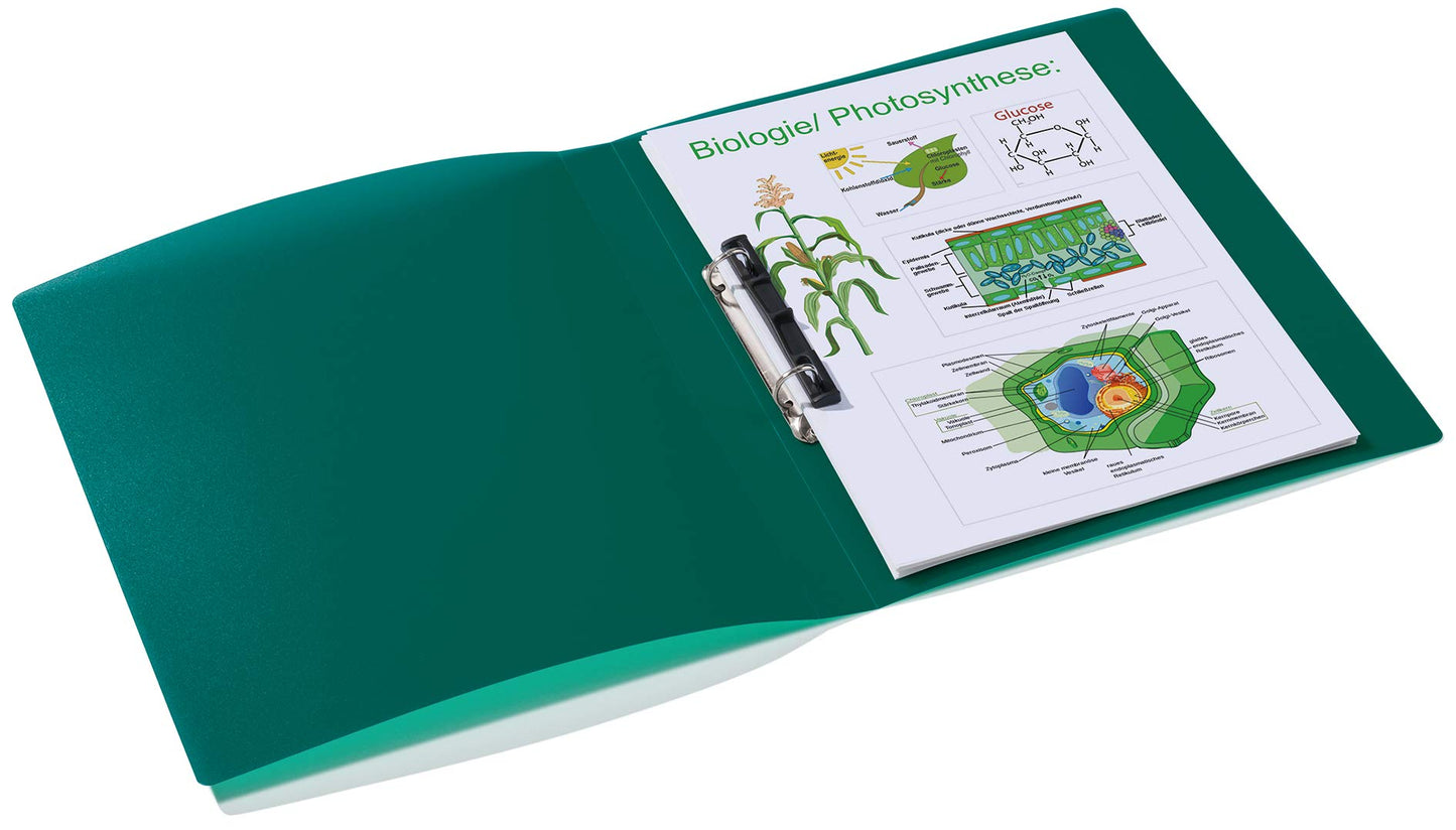 HERMA Ring Binder Translucent in Dark Green, A4, 25 mm Spine, Slim 2-Ring Binder Made of Plastic
