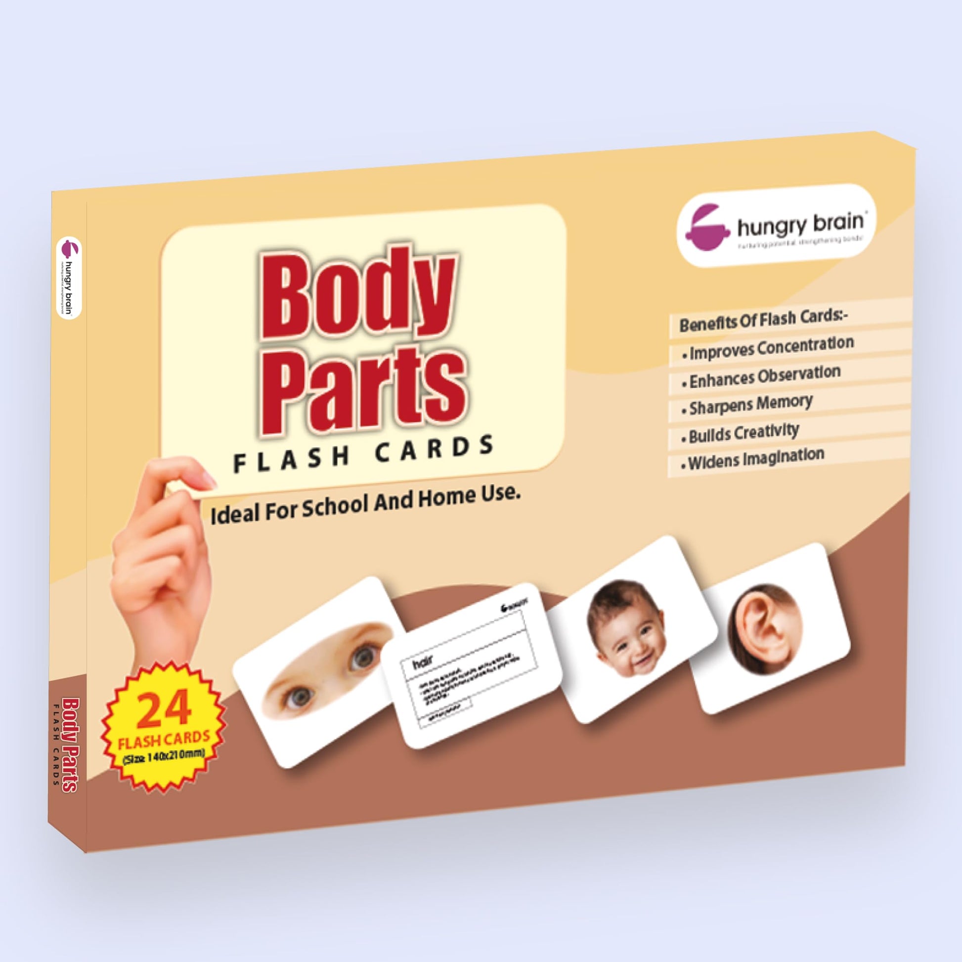 Hungry Brain Body Parts Flash Cards for Toddlers Ages 3 Months to 6 Years | Montessori Human Body