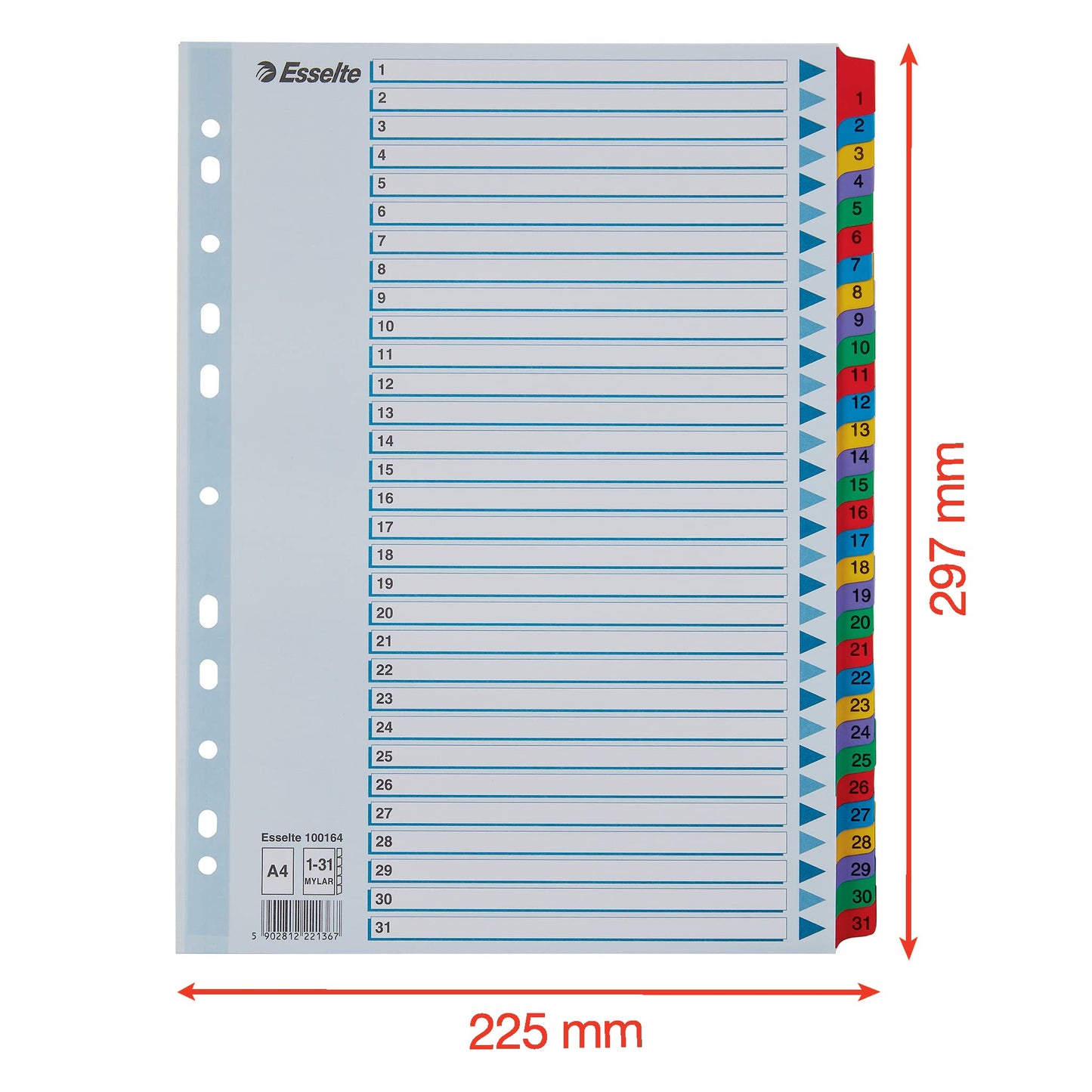 Esselte 100164 A4 1-31 Index, Heavy Duty Cardboard with Mylar Reinforced Tabs, Multicolour