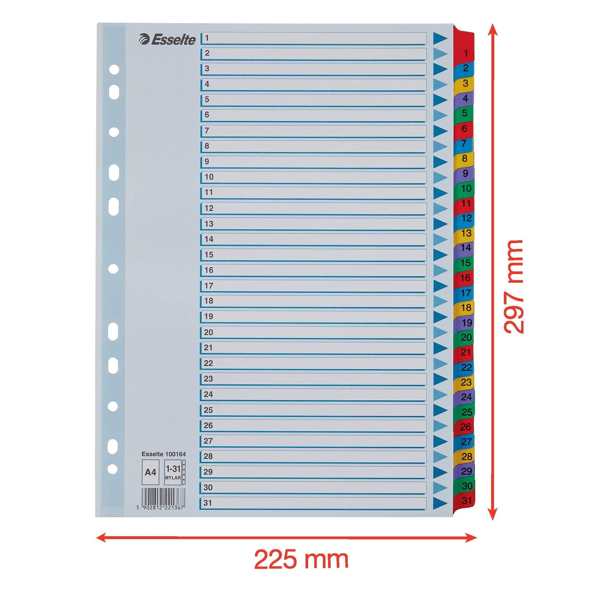 Esselte 100164 A4 1-31 Index, Heavy Duty Cardboard with Mylar Reinforced Tabs, Multicolour