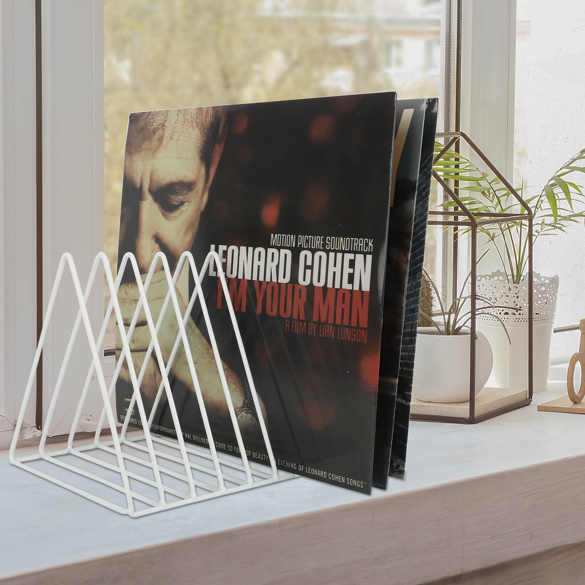 EASEPRES Vinyl Record Holder Storage, 9 Slot Metal Magazine Book Album Display Rack, Stylish