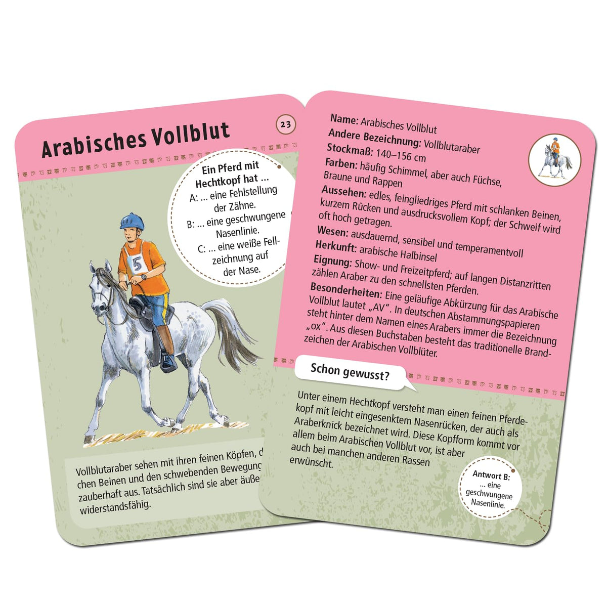 moses. Expedition Nature 50 Pferde und Ponys Set of Recognition Cards with Expedition Nature Quiz